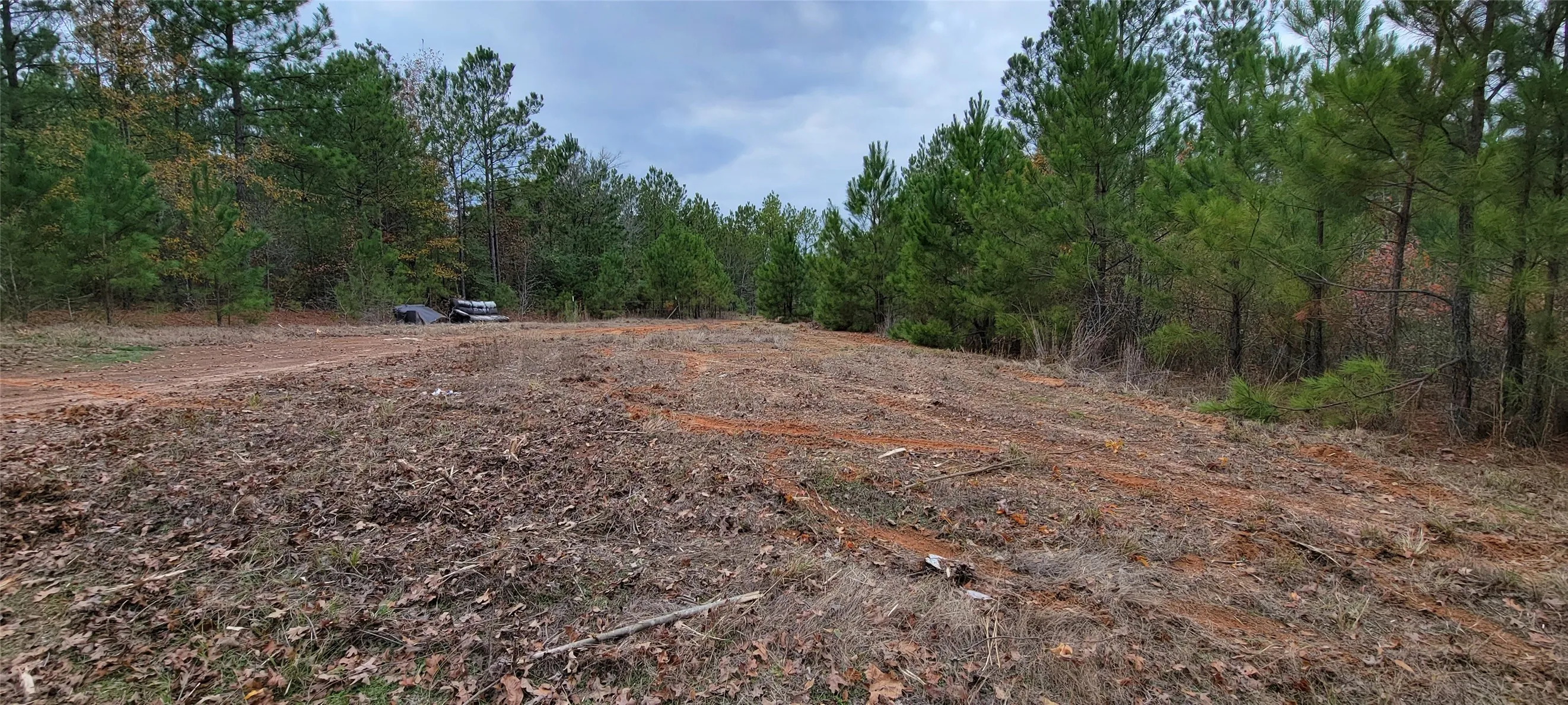 Unimproved Land For Sale in Harrison County , 0 Jewell Gooch Road, Marshall, Texas 75670, 0, 0, Garage spaces, 0 Sqft, built in 0, mls#21218033, Real Estate Agent in Marshall, Homes For Sale in Harrison county, Homes For Sale in Marshall, Realtor in Marshall Texas, Real Estate Brokerage Independent Realty Texas, Luminita Cordes Realtor