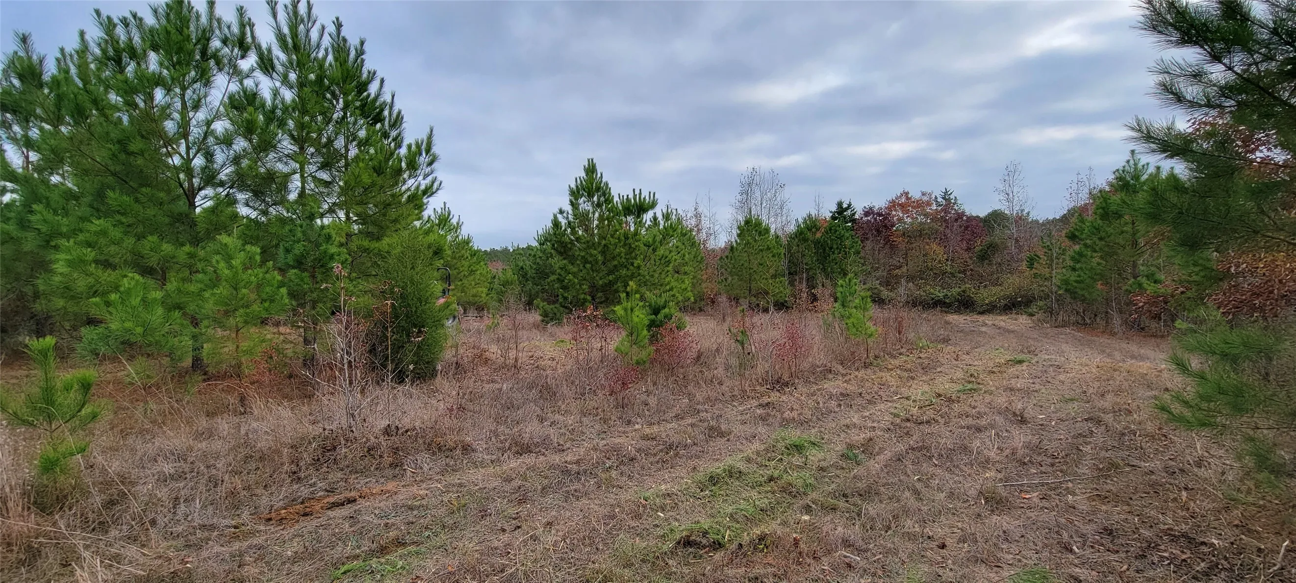 Unimproved Land For Sale in Harrison County , 0 Jewell Gooch Road, Marshall, Texas 75670, 0, 0, Garage spaces, 0 Sqft, built in 0, mls#21218033, Real Estate Agent in Marshall, Homes For Sale in Harrison county, Homes For Sale in Marshall, Realtor in Marshall Texas, Real Estate Brokerage Independent Realty Texas, Luminita Cordes Realtor