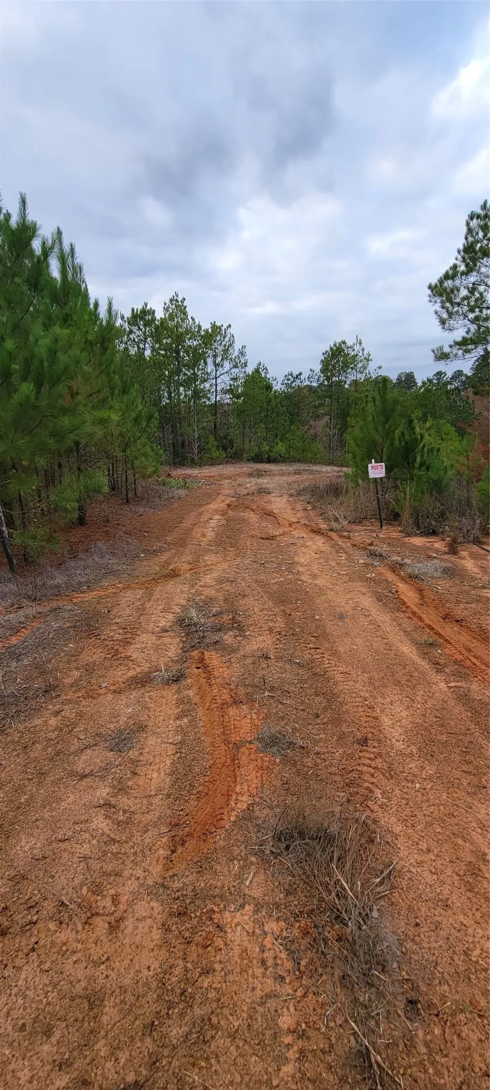 Unimproved Land For Sale in Harrison County , 0 Jewell Gooch Road, Marshall, Texas 75670, 0, 0, Garage spaces, 0 Sqft, built in 0, mls#21218033, Real Estate Agent in Marshall, Homes For Sale in Harrison county, Homes For Sale in Marshall, Realtor in Marshall Texas, Real Estate Brokerage Independent Realty Texas, Luminita Cordes Realtor