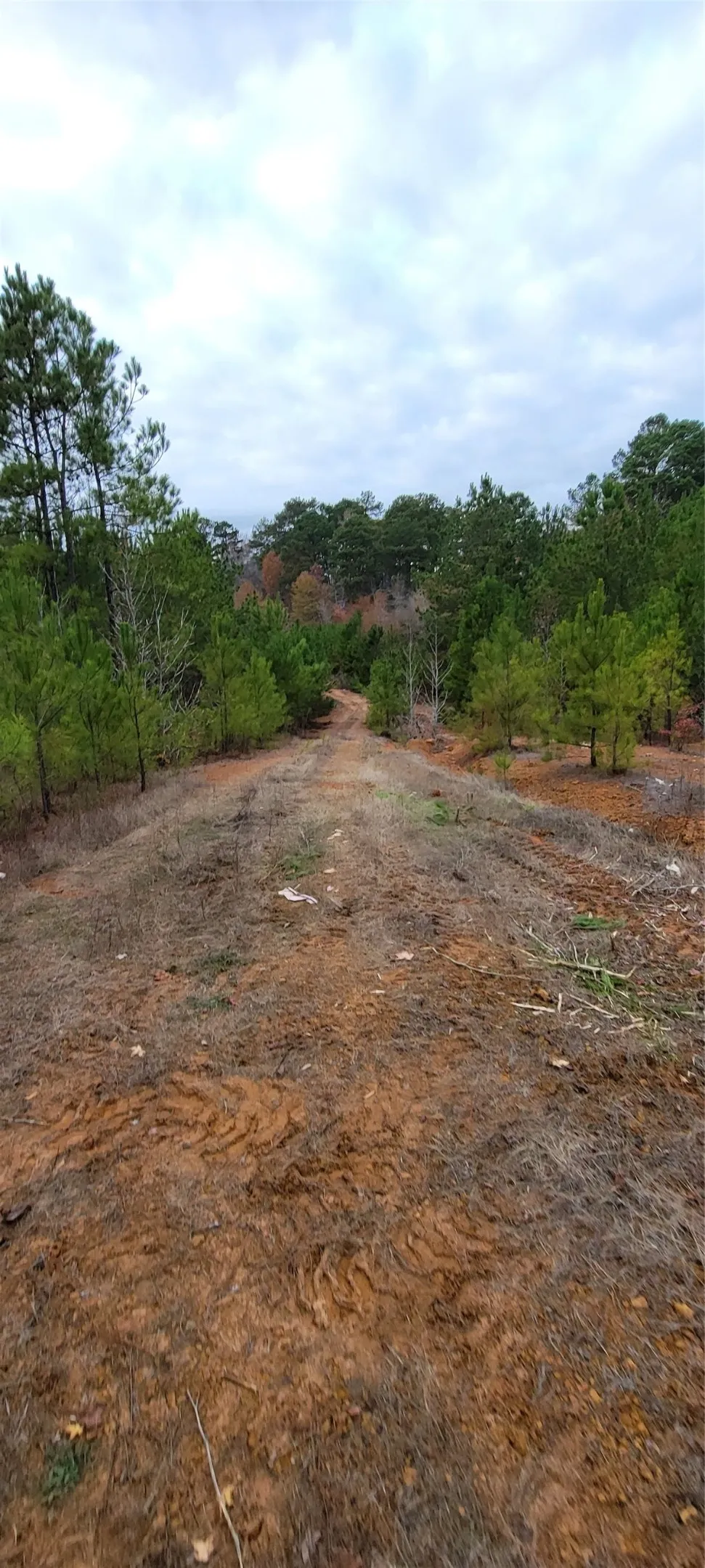 Unimproved Land For Sale in Harrison County , 0 Jewell Gooch Road, Marshall, Texas 75670, 0, 0, Garage spaces, 0 Sqft, built in 0, mls#21218033, Real Estate Agent in Marshall, Homes For Sale in Harrison county, Homes For Sale in Marshall, Realtor in Marshall Texas, Real Estate Brokerage Independent Realty Texas, Luminita Cordes Realtor