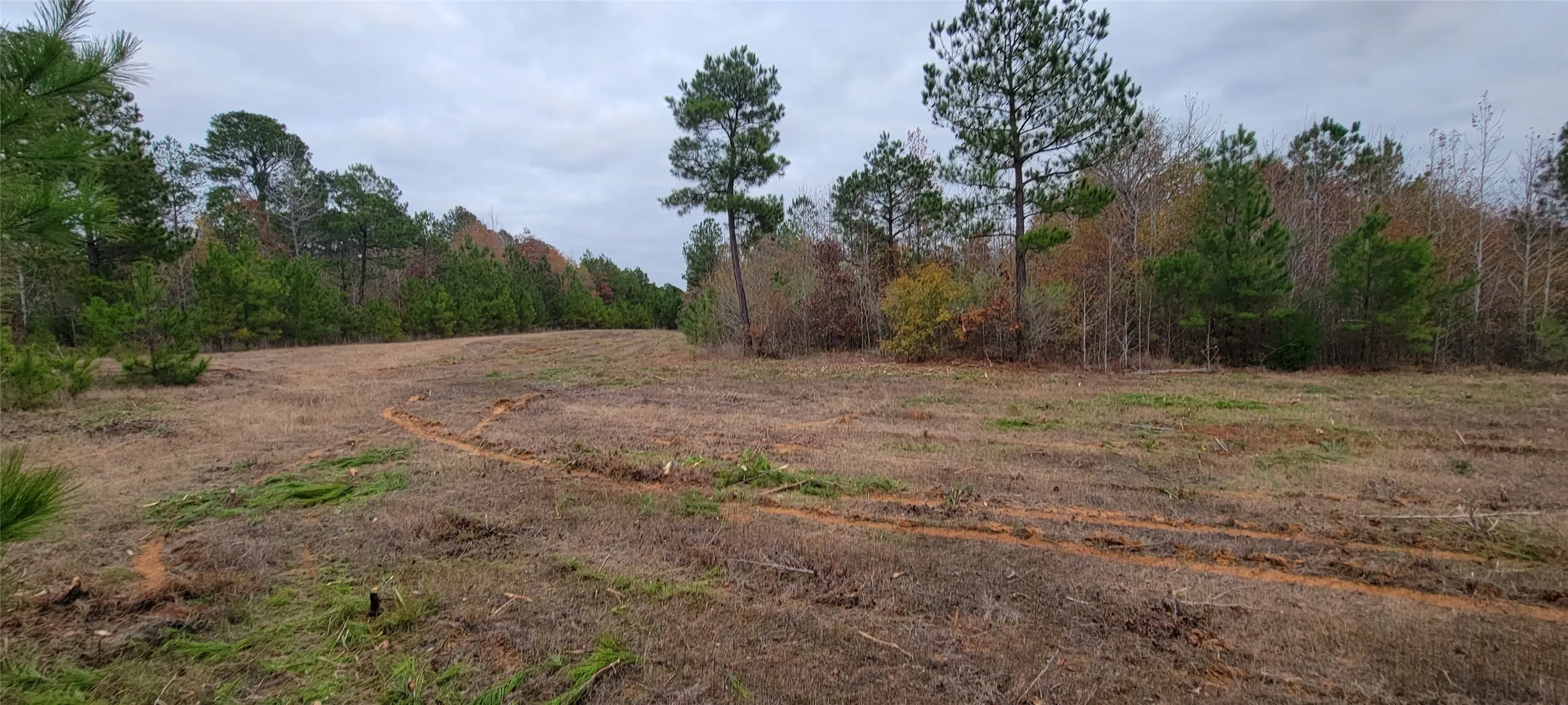 Unimproved Land For Sale in Harrison County , 0 Jewell Gooch Road, Marshall, Texas 75670, 0, 0, Garage spaces, 0 Sqft, built in 0, mls#21218033, Real Estate Agent in Marshall, Homes For Sale in Harrison county, Homes For Sale in Marshall, Realtor in Marshall Texas, Real Estate Brokerage Independent Realty Texas, Luminita Cordes Realtor