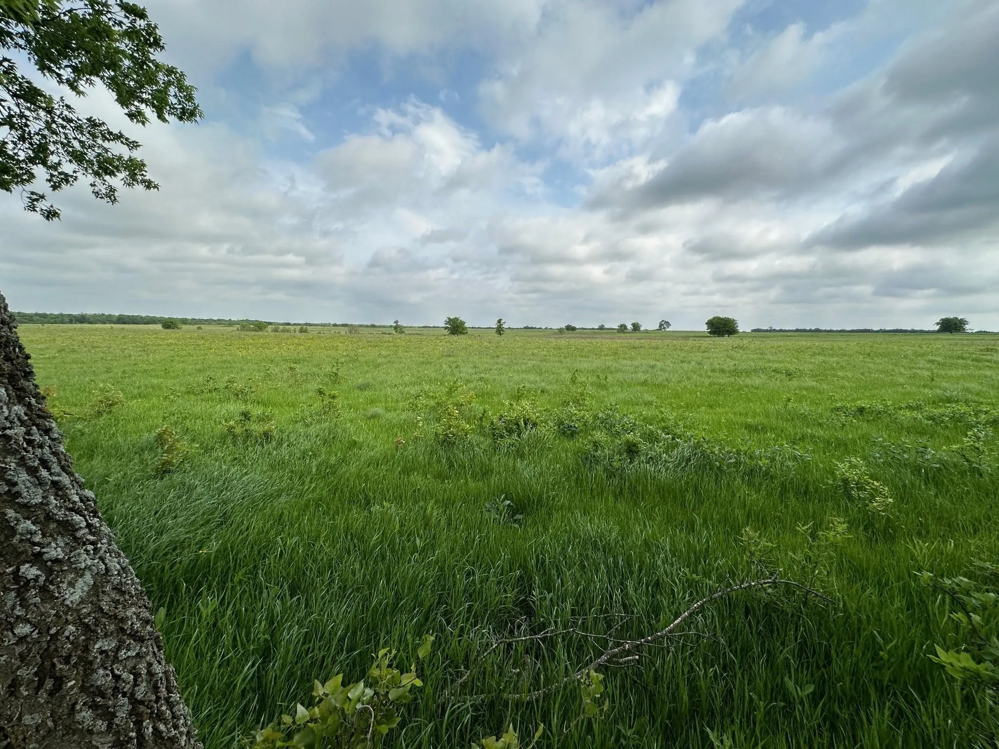 Unimproved Land For Sale in Hunt County , 26 Acres FM 118, Greenville, Texas 75401, 0, 0, Garage spaces, 0 Sqft, built in 0, mls#21220570, Real Estate Agent in Greenville, Homes For Sale in Hunt county, Homes For Sale in Greenville, Realtor in Greenville Texas, Real Estate Brokerage Independent Realty Texas, Luminita Cordes Realtor