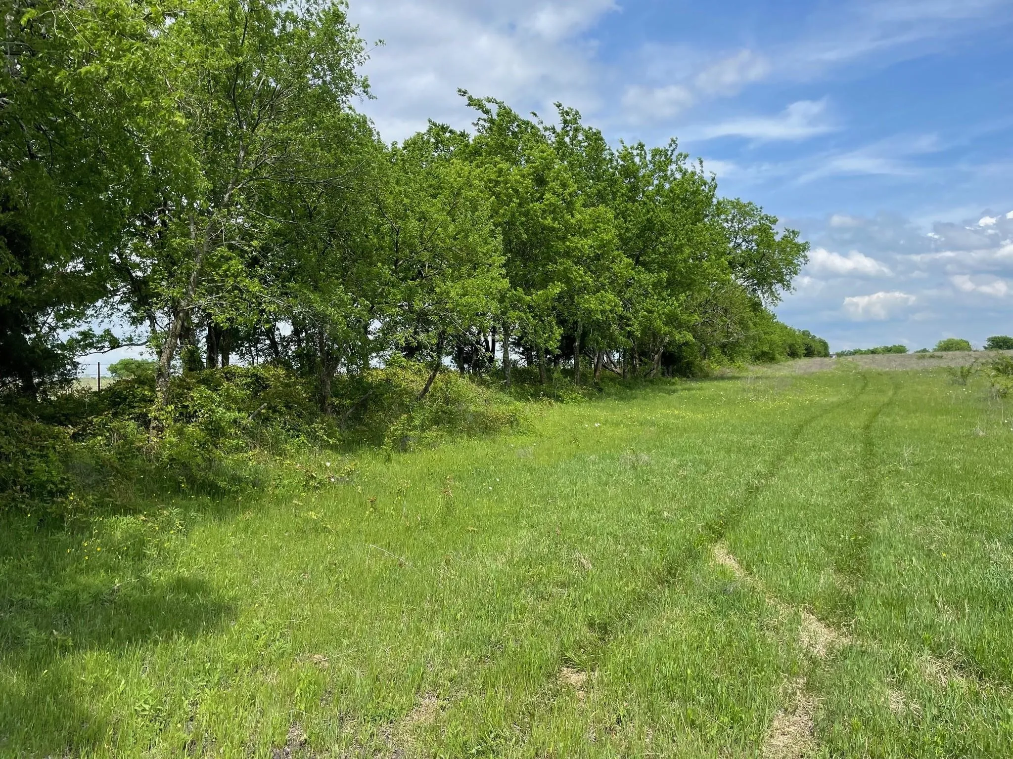 Unimproved Land For Sale in Hunt County , 26 Acres FM 118, Greenville, Texas 75401, 0, 0, Garage spaces, 0 Sqft, built in 0, mls#21220570, Real Estate Agent in Greenville, Homes For Sale in Hunt county, Homes For Sale in Greenville, Realtor in Greenville Texas, Real Estate Brokerage Independent Realty Texas, Luminita Cordes Realtor