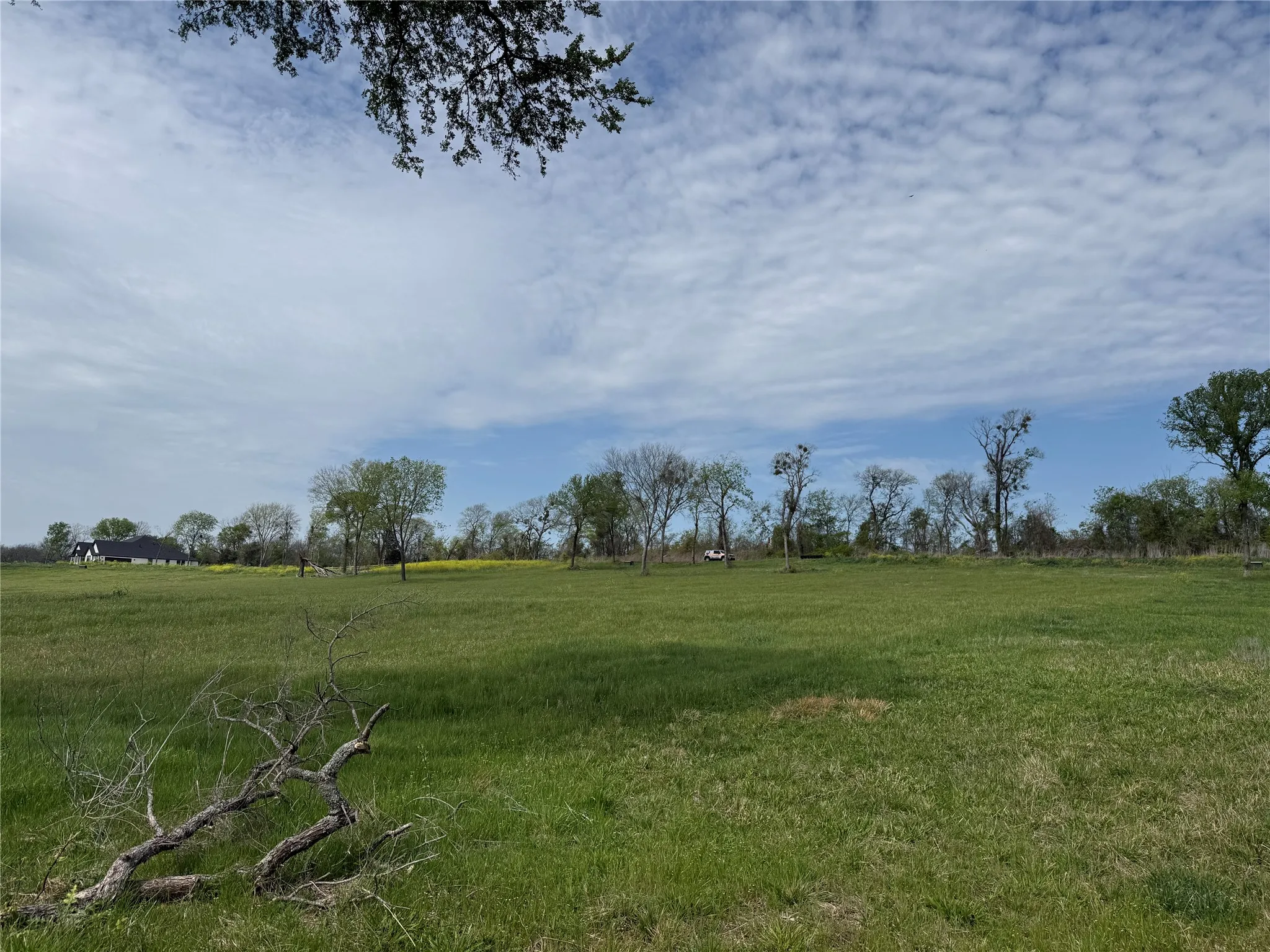 Unimproved Land For Sale in Navarro County , Lot 47 Bridgewater Boulevard, Kerens, Texas 75144, 0, 0, Garage spaces, 0 Sqft, built in 0, Price $102,000, mls#21215216, Real Estate Agent in Kerens, Homes For Sale in Navarro county, Homes For Sale in Kerens, Realtor in Kerens Texas, Real Estate Brokerage Independent Realty Texas, Luminita Cordes Realtor