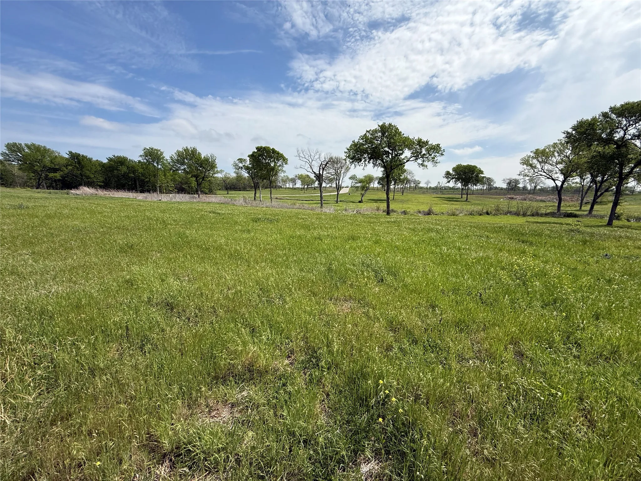 Unimproved Land For Sale in Navarro County , Lot 47 Bridgewater Boulevard, Kerens, Texas 75144, 0, 0, Garage spaces, 0 Sqft, built in 0, Price $102,000, mls#21215216, Real Estate Agent in Kerens, Homes For Sale in Navarro county, Homes For Sale in Kerens, Realtor in Kerens Texas, Real Estate Brokerage Independent Realty Texas, Luminita Cordes Realtor