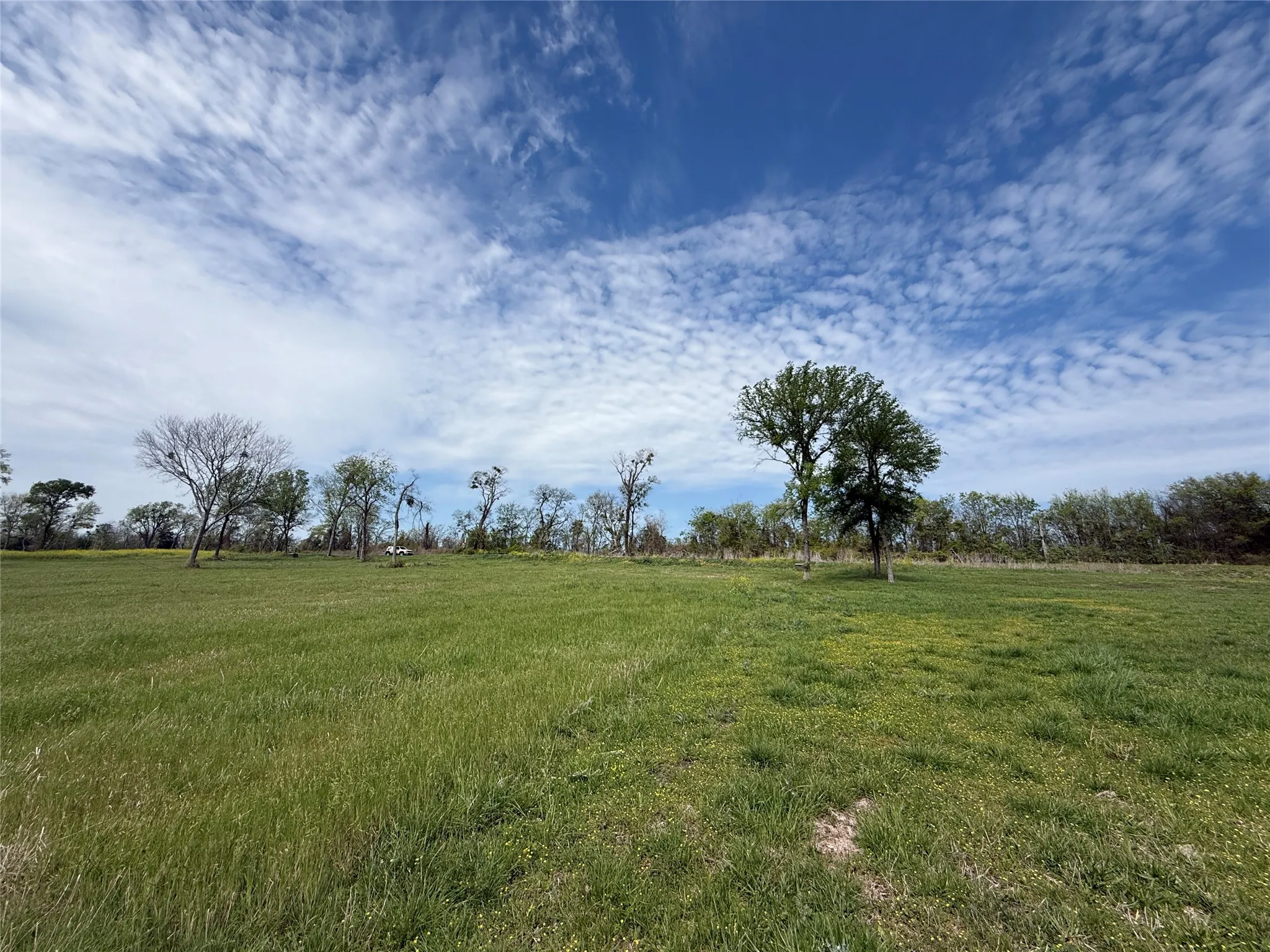 Unimproved Land For Sale in Navarro County , Lot 47 Bridgewater Boulevard, Kerens, Texas 75144, 0, 0, Garage spaces, 0 Sqft, built in 0, Price $102,000, mls#21215216, Real Estate Agent in Kerens, Homes For Sale in Navarro county, Homes For Sale in Kerens, Realtor in Kerens Texas, Real Estate Brokerage Independent Realty Texas, Luminita Cordes Realtor