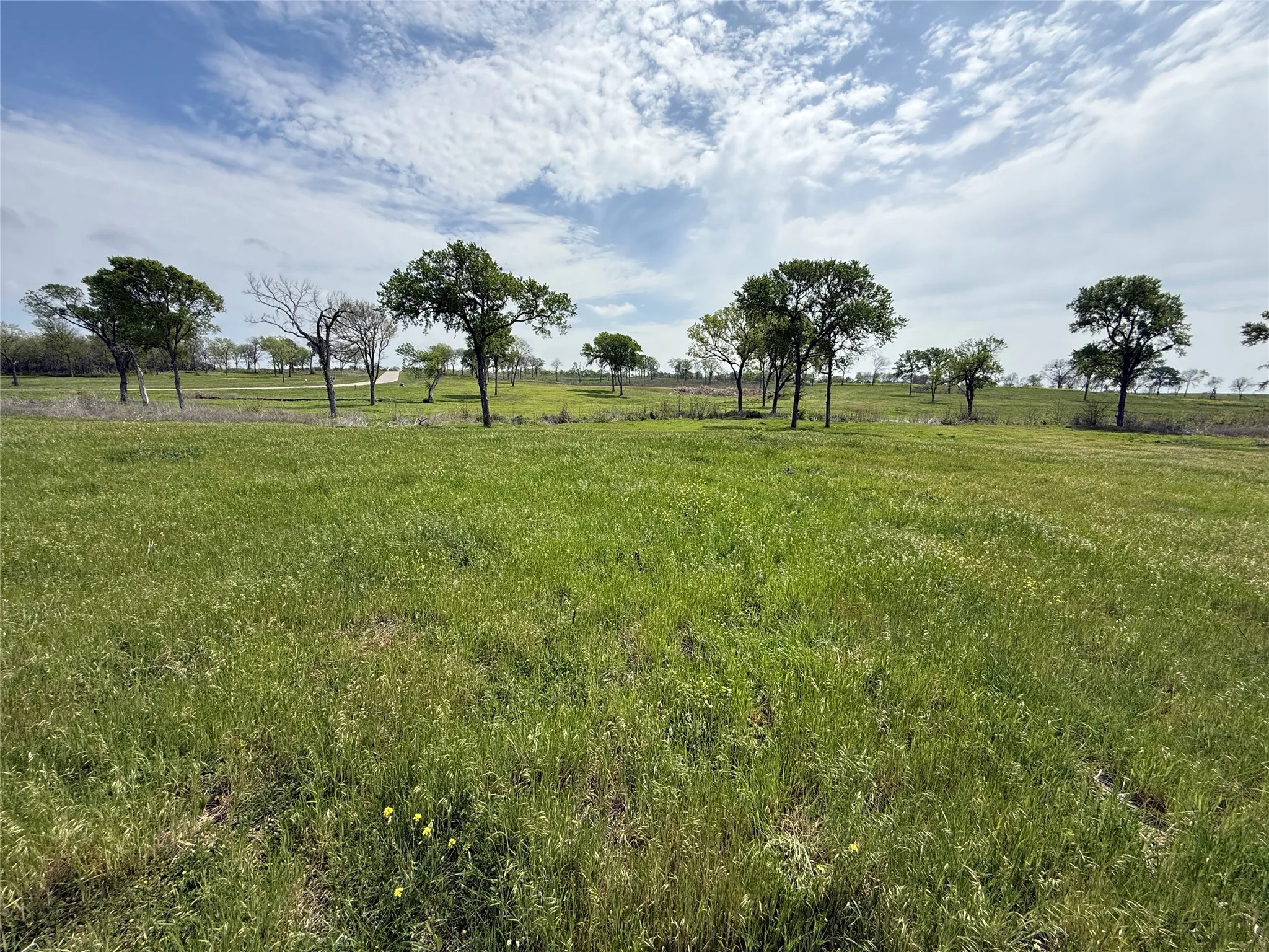 Unimproved Land For Sale in Navarro County , Lot 47 Bridgewater Boulevard, Kerens, Texas 75144, 0, 0, Garage spaces, 0 Sqft, built in 0, Price $102,000, mls#21215216, Real Estate Agent in Kerens, Homes For Sale in Navarro county, Homes For Sale in Kerens, Realtor in Kerens Texas, Real Estate Brokerage Independent Realty Texas, Luminita Cordes Realtor