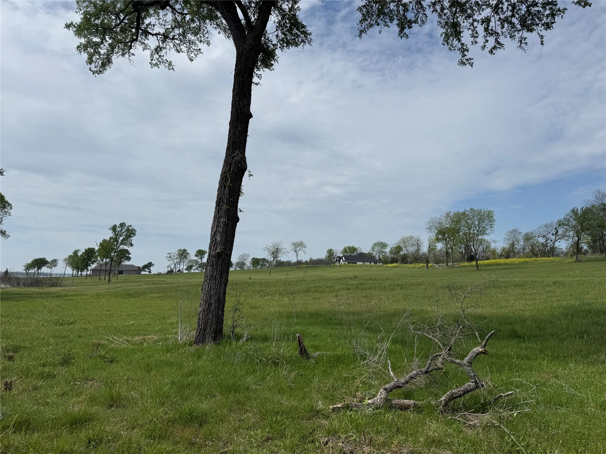 Unimproved Land For Sale in Navarro County , Lot 47 Bridgewater Boulevard, Kerens, Texas 75144, 0, 0, Garage spaces, 0 Sqft, built in 0, Price $102,000, mls#21215216, Real Estate Agent in Kerens, Homes For Sale in Navarro county, Homes For Sale in Kerens, Realtor in Kerens Texas, Real Estate Brokerage Independent Realty Texas, Luminita Cordes Realtor