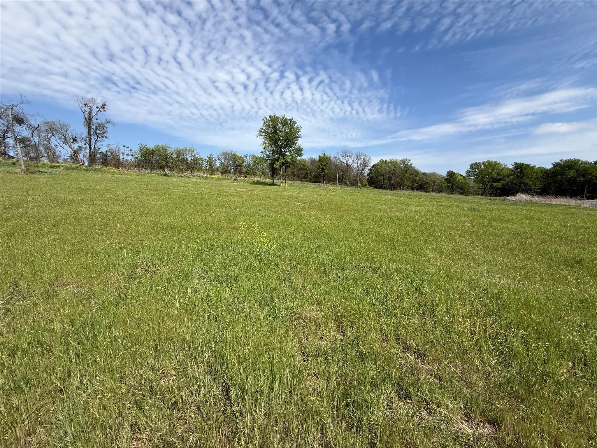 Unimproved Land For Sale in Navarro County , Lot 47 Bridgewater Boulevard, Kerens, Texas 75144, 0, 0, Garage spaces, 0 Sqft, built in 0, Price $102,000, mls#21215216, Real Estate Agent in Kerens, Homes For Sale in Navarro county, Homes For Sale in Kerens, Realtor in Kerens Texas, Real Estate Brokerage Independent Realty Texas, Luminita Cordes Realtor