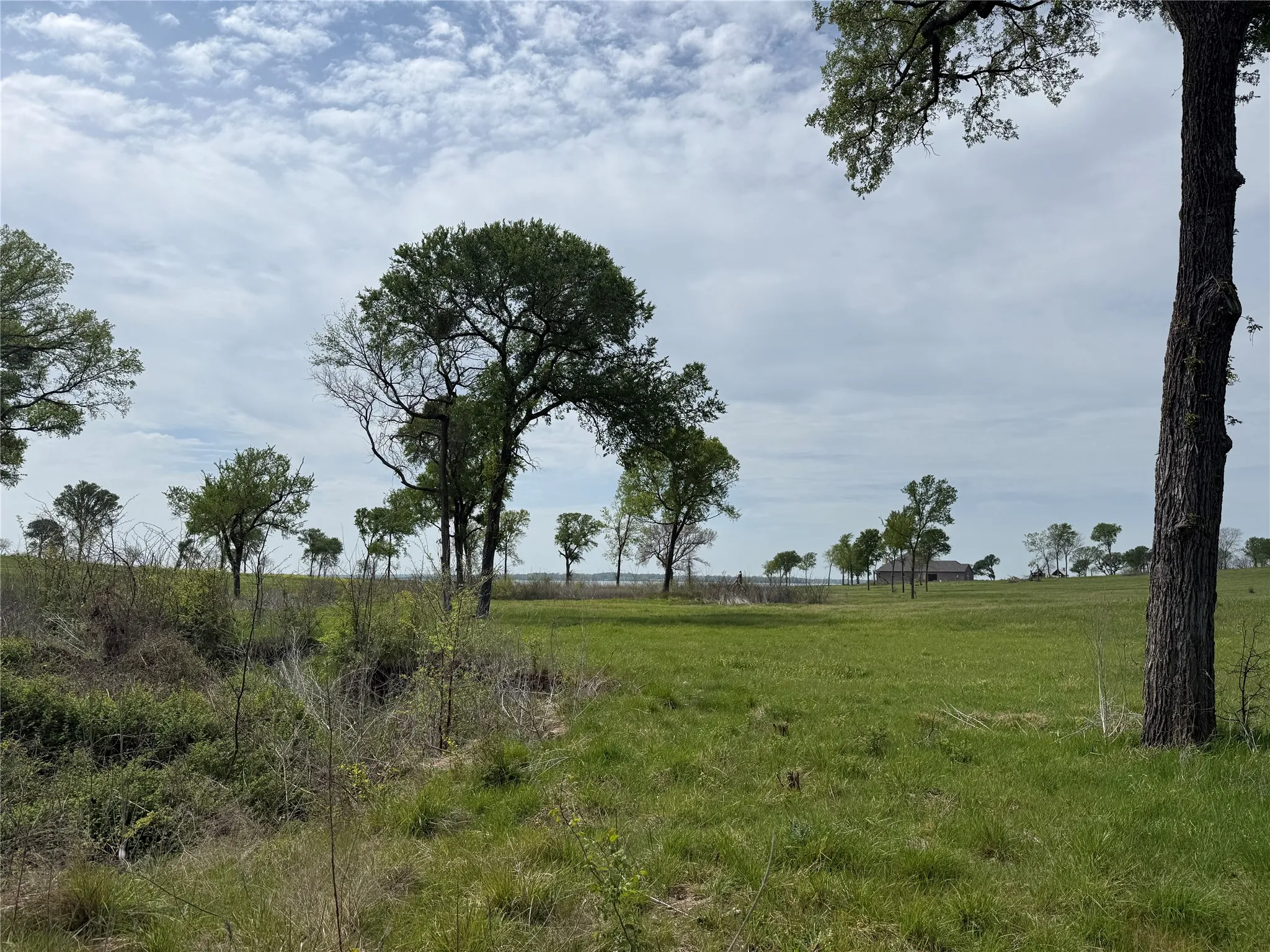 Unimproved Land For Sale in Navarro County , Lot 47 Bridgewater Boulevard, Kerens, Texas 75144, 0, 0, Garage spaces, 0 Sqft, built in 0, Price $102,000, mls#21215216, Real Estate Agent in Kerens, Homes For Sale in Navarro county, Homes For Sale in Kerens, Realtor in Kerens Texas, Real Estate Brokerage Independent Realty Texas, Luminita Cordes Realtor
