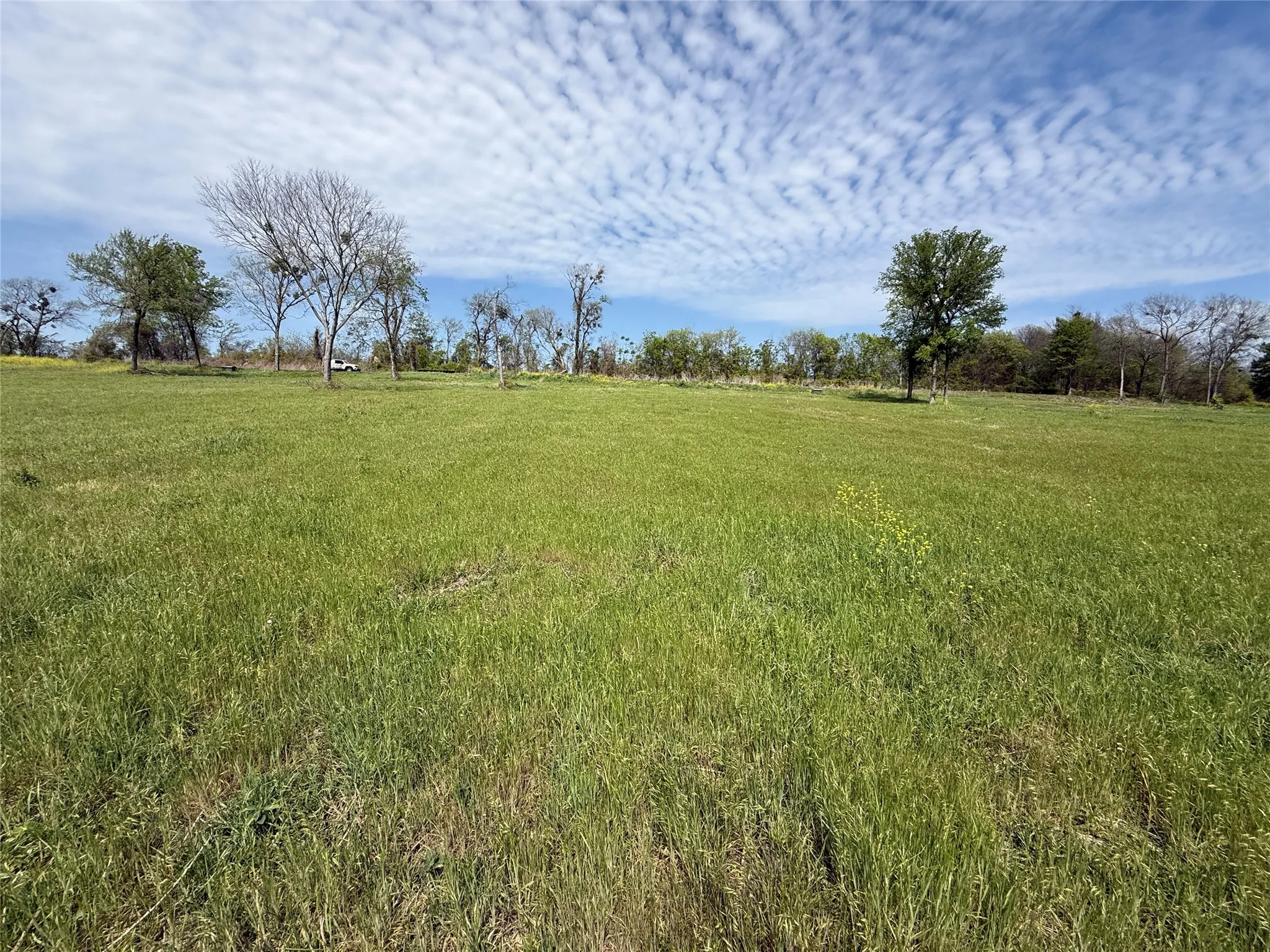Unimproved Land For Sale in Navarro County , Lot 47 Bridgewater Boulevard, Kerens, Texas 75144, 0, 0, Garage spaces, 0 Sqft, built in 0, Price $102,000, mls#21215216, Real Estate Agent in Kerens, Homes For Sale in Navarro county, Homes For Sale in Kerens, Realtor in Kerens Texas, Real Estate Brokerage Independent Realty Texas, Luminita Cordes Realtor