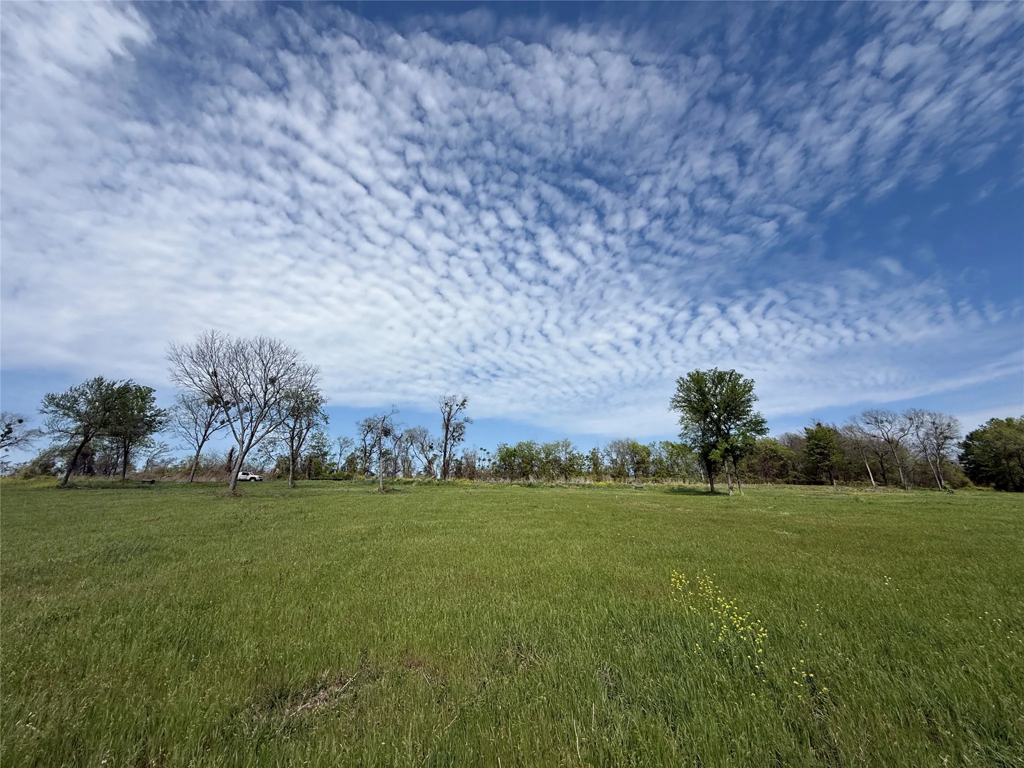 Unimproved Land For Sale in Navarro County , Lot 47 Bridgewater Boulevard, Kerens, Texas 75144, 0, 0, Garage spaces, 0 Sqft, built in 0, Price $102,000, mls#21215216, Real Estate Agent in Kerens, Homes For Sale in Navarro county, Homes For Sale in Kerens, Realtor in Kerens Texas, Real Estate Brokerage Independent Realty Texas, Luminita Cordes Realtor