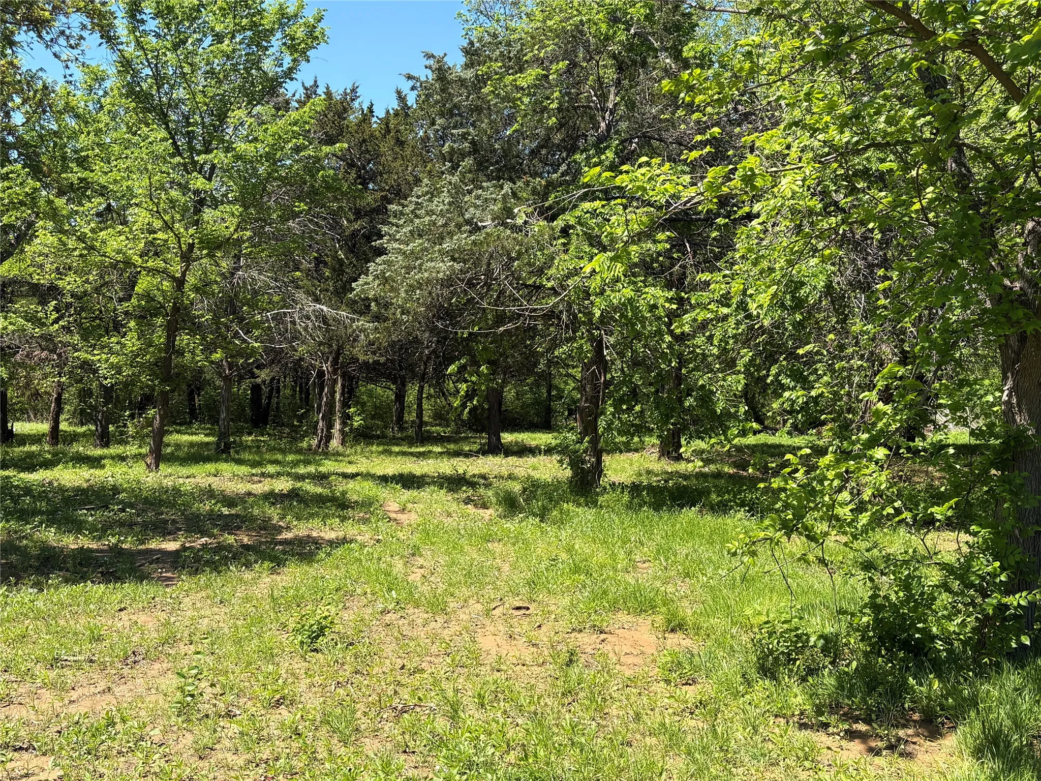 Unimproved Land For Sale in Cooke County , 441 CR 167 Road, Whitesboro, Texas 76273, 0, 0, Garage spaces, 0 Sqft, built in 0, mls#21221440, Real Estate Agent in Whitesboro, Homes For Sale in Cooke county, Homes For Sale in Whitesboro, Realtor in Whitesboro Texas, Real Estate Brokerage Independent Realty Texas, Luminita Cordes Realtor