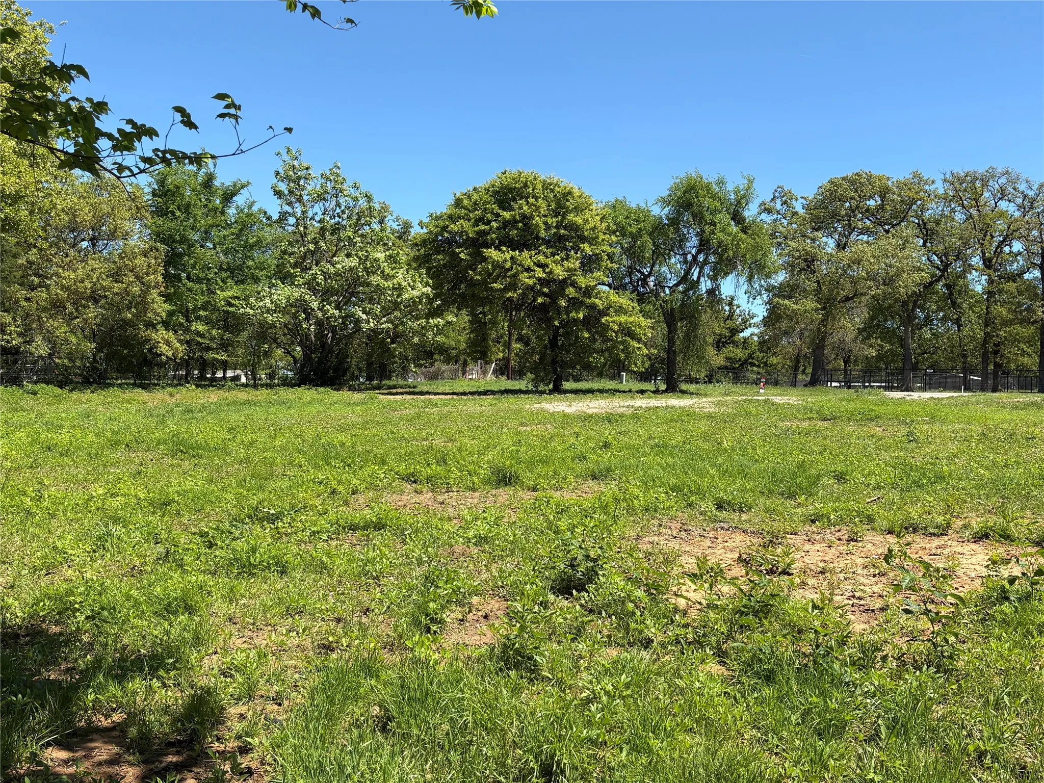 Unimproved Land For Sale in Cooke County , 441 CR 167 Road, Whitesboro, Texas 76273, 0, 0, Garage spaces, 0 Sqft, built in 0, mls#21221440, Real Estate Agent in Whitesboro, Homes For Sale in Cooke county, Homes For Sale in Whitesboro, Realtor in Whitesboro Texas, Real Estate Brokerage Independent Realty Texas, Luminita Cordes Realtor