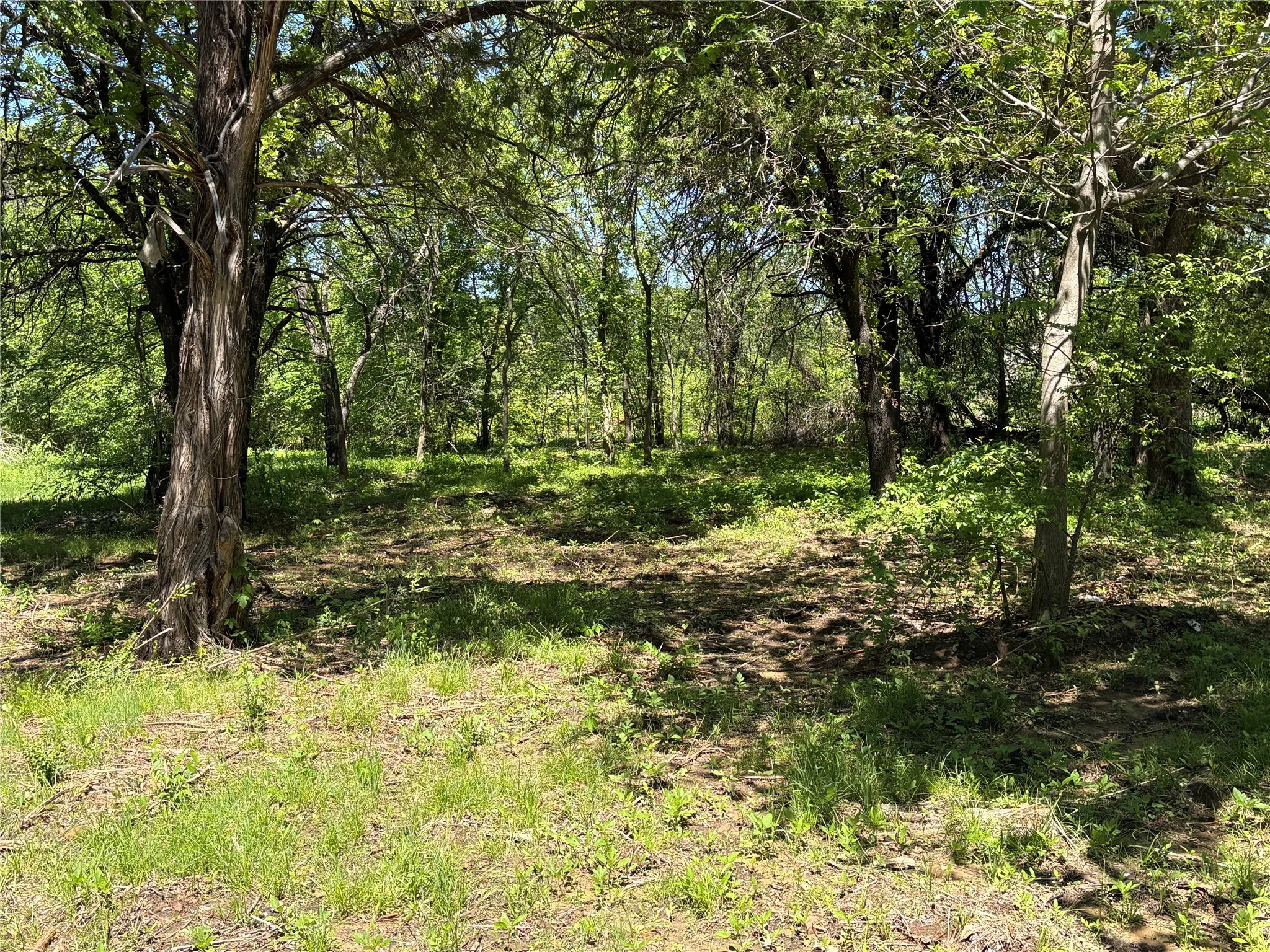 Unimproved Land For Sale in Cooke County , 441 CR 167 Road, Whitesboro, Texas 76273, 0, 0, Garage spaces, 0 Sqft, built in 0, mls#21221440, Real Estate Agent in Whitesboro, Homes For Sale in Cooke county, Homes For Sale in Whitesboro, Realtor in Whitesboro Texas, Real Estate Brokerage Independent Realty Texas, Luminita Cordes Realtor