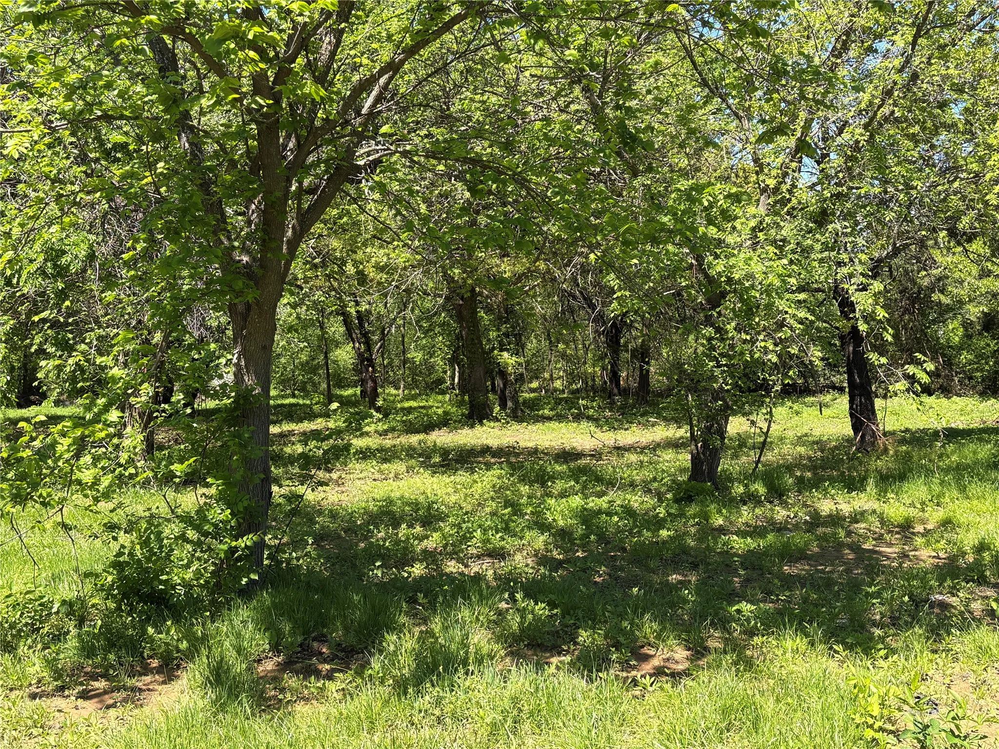 Unimproved Land For Sale in Cooke County , 441 CR 167 Road, Whitesboro, Texas 76273, 0, 0, Garage spaces, 0 Sqft, built in 0, mls#21221440, Real Estate Agent in Whitesboro, Homes For Sale in Cooke county, Homes For Sale in Whitesboro, Realtor in Whitesboro Texas, Real Estate Brokerage Independent Realty Texas, Luminita Cordes Realtor