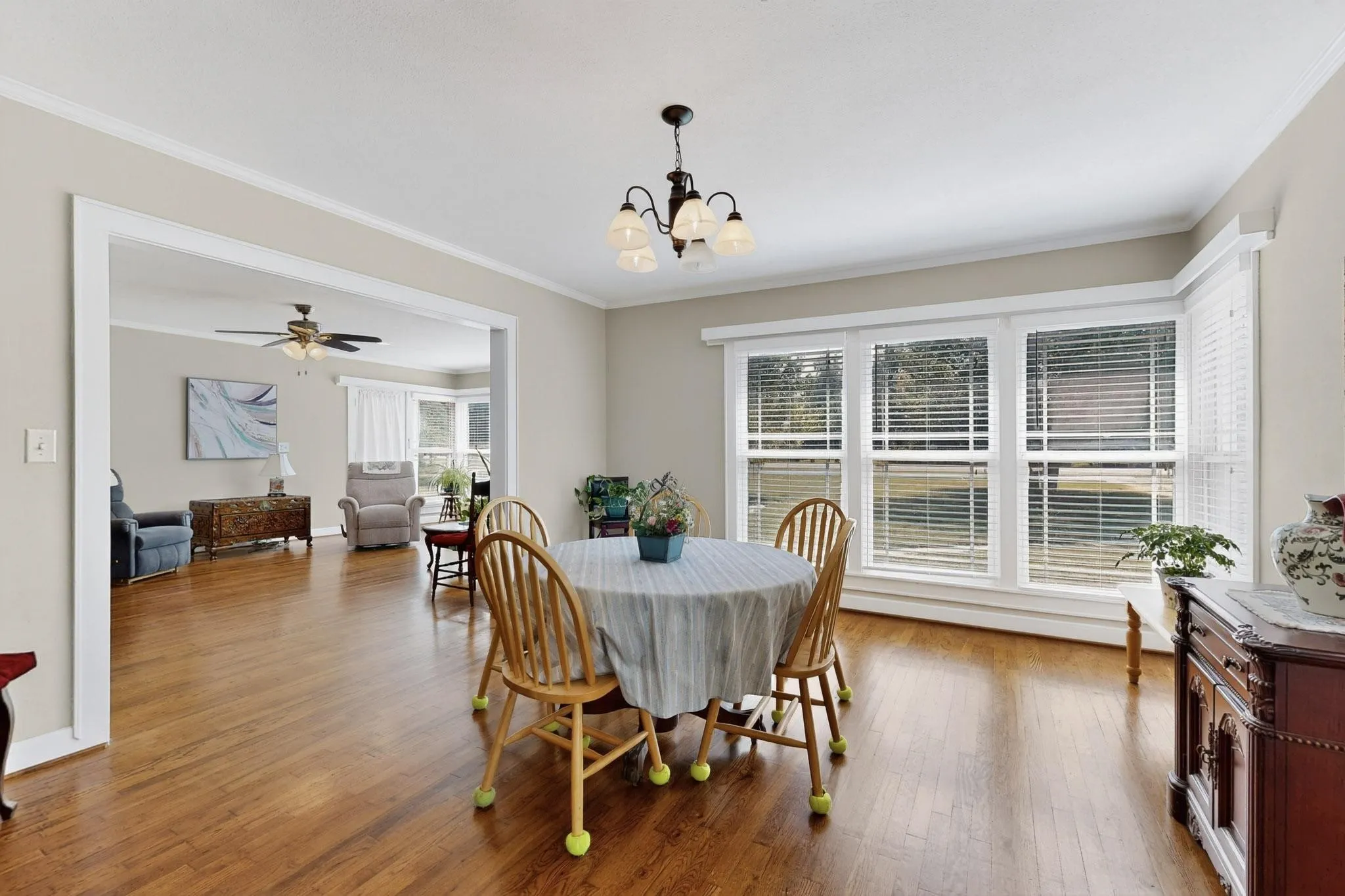 Dining space featuring crown molding, wood finished floors, a chandelier, and ceiling fan