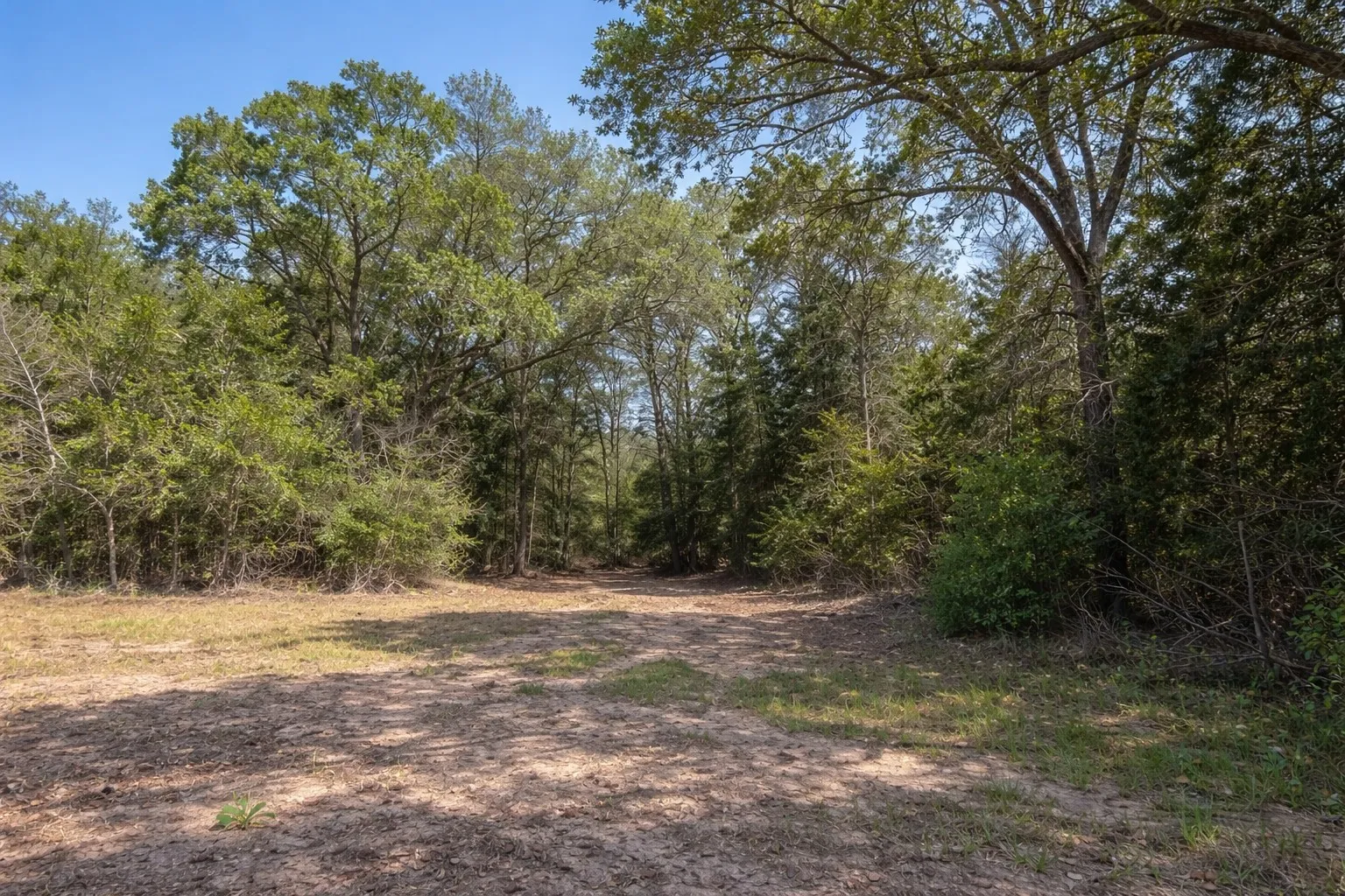 Unimproved Land For Sale in Henderson County , 0 CR 2100, Kemp, Texas 75143, 0, 0, Garage spaces, 0 Sqft, built in 0, Price $2,100,000, mls#21221641, Real Estate Agent in Kemp, Homes For Sale in Henderson county, Homes For Sale in Kemp, Realtor in Kemp Texas, Real Estate Brokerage Independent Realty Texas, Luminita Cordes Realtor