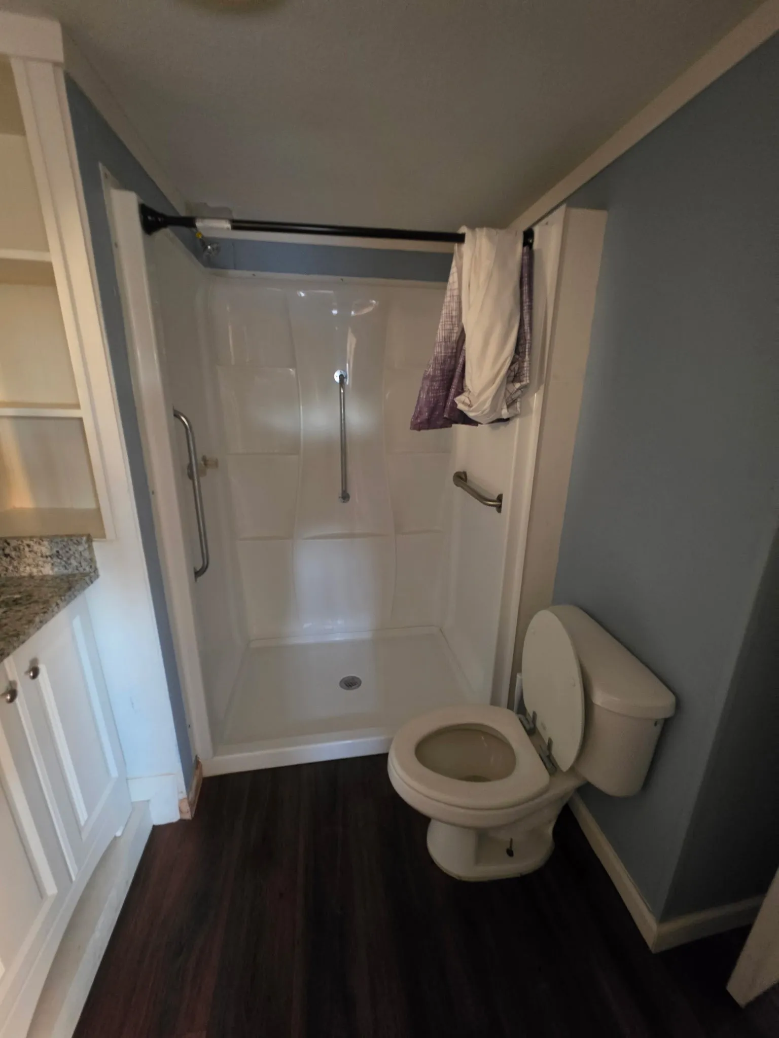 Bathroom featuring a walk-in shower with grab bars, dark wood-finish flooring, a built-in vanity with white cabinetry, and a light-colored granite-finish countertop