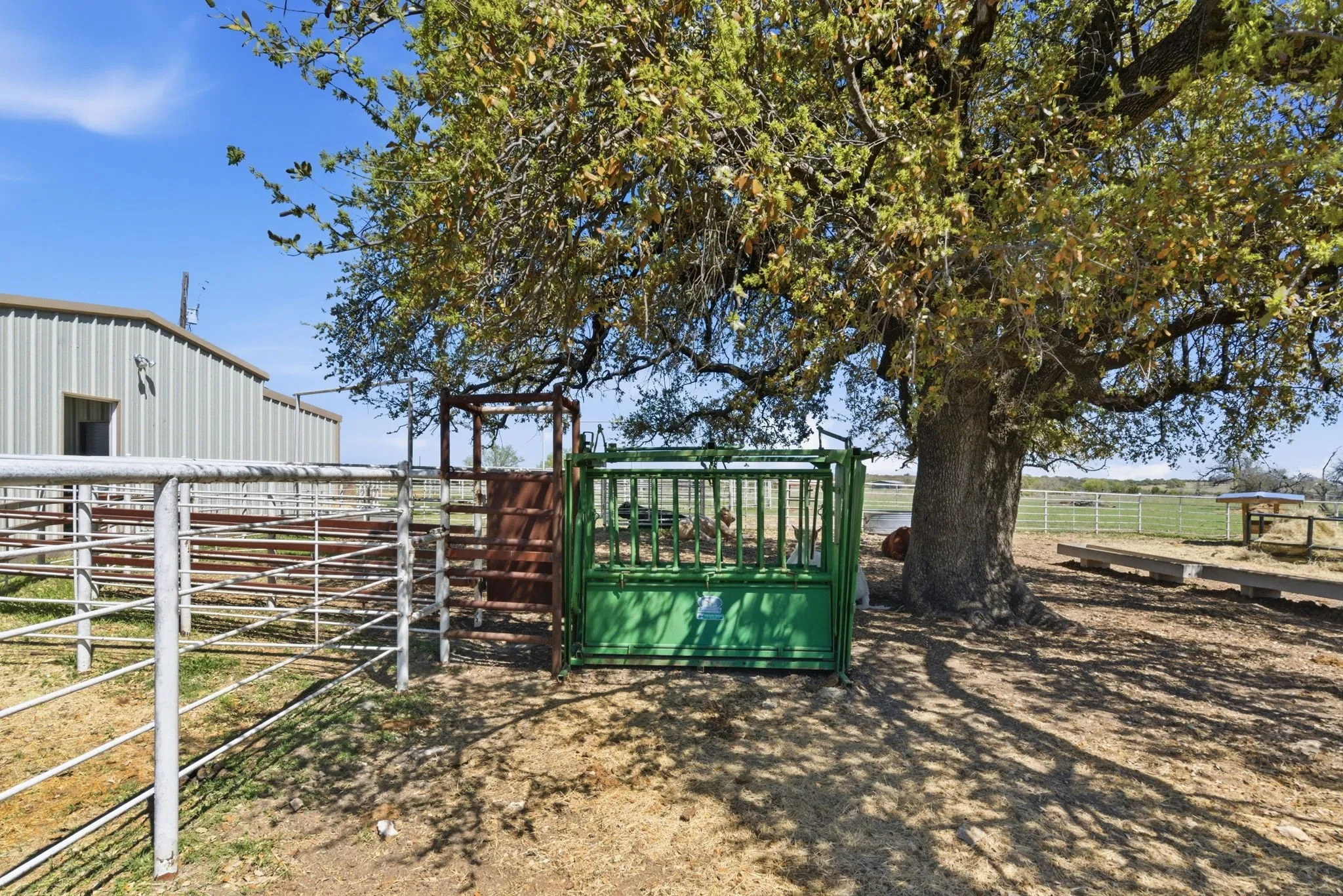 Farm For Sale in Erath County , 404 Private Road 1562, Stephenville, Texas 76401, 3 Bedroom, 4 Bathroom, Garage spaces, 3,107 Sqft, built in 2005, mls#21215685, Real Estate Agent in Stephenville, Homes For Sale in Erath county, Homes For Sale in Stephenville, Realtor in Stephenville Texas, Real Estate Brokerage Independent Realty Texas, Luminita Cordes Realtor