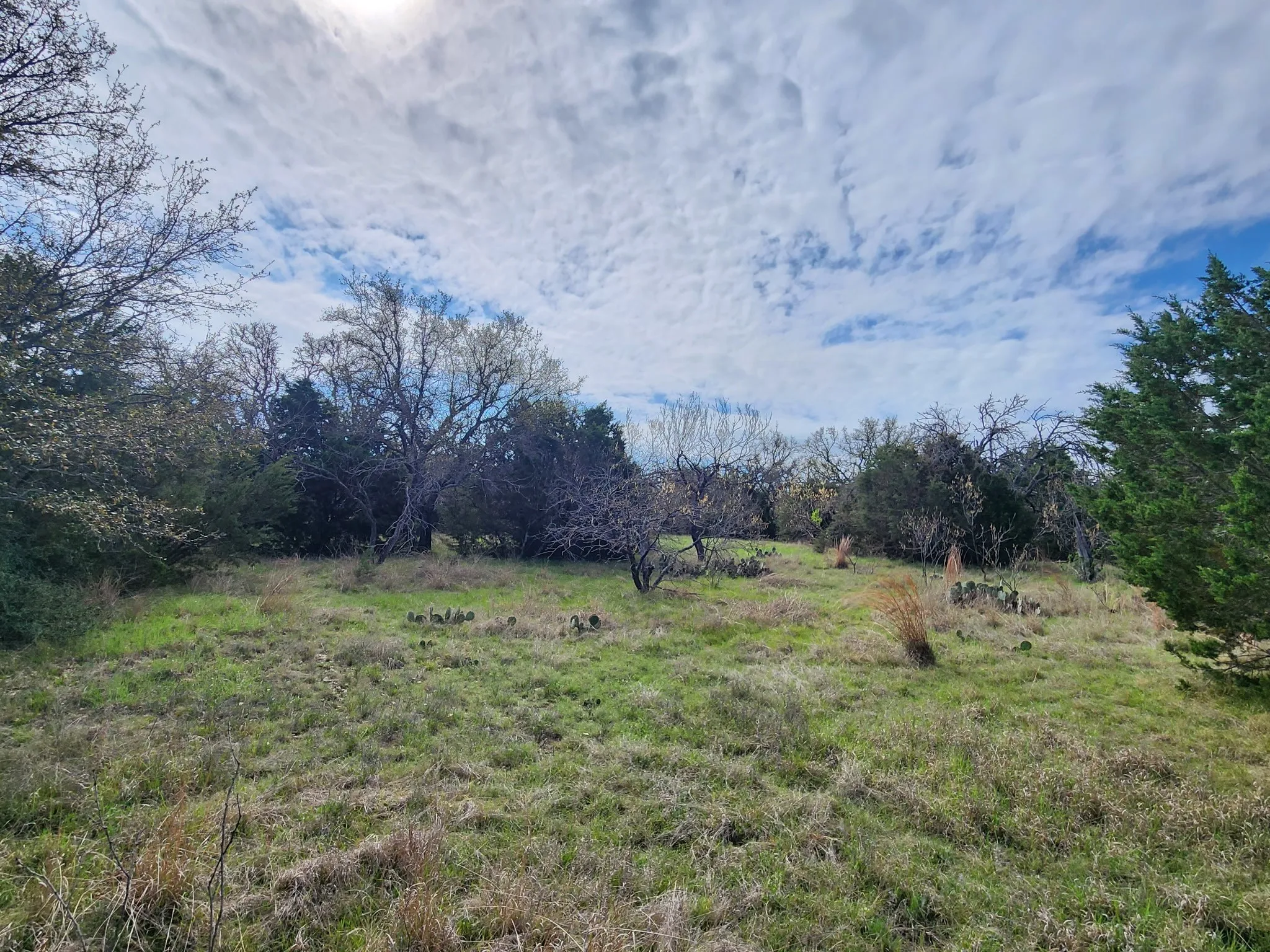 Unimproved Land For Sale in Mills County , 400 Blackjack Oak Drive, Goldthwaite, Texas 76844, 0, 0, Garage spaces, 0 Sqft, built in 0, mls#21221743, Real Estate Agent in Goldthwaite, Homes For Sale in Mills county, Homes For Sale in Goldthwaite, Realtor in Goldthwaite Texas, Real Estate Brokerage Independent Realty Texas, Luminita Cordes Realtor