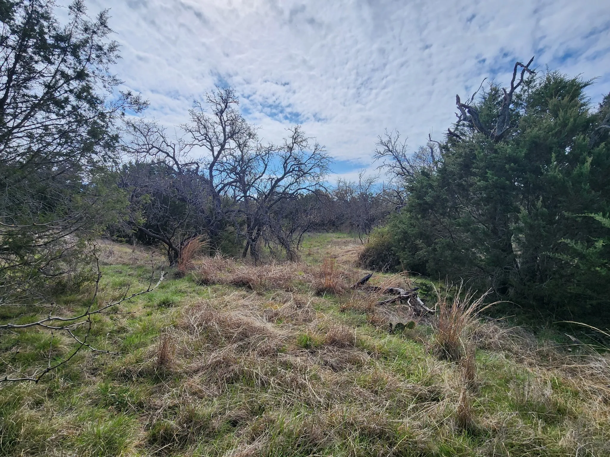 Unimproved Land For Sale in Mills County , 400 Blackjack Oak Drive, Goldthwaite, Texas 76844, 0, 0, Garage spaces, 0 Sqft, built in 0, mls#21221743, Real Estate Agent in Goldthwaite, Homes For Sale in Mills county, Homes For Sale in Goldthwaite, Realtor in Goldthwaite Texas, Real Estate Brokerage Independent Realty Texas, Luminita Cordes Realtor