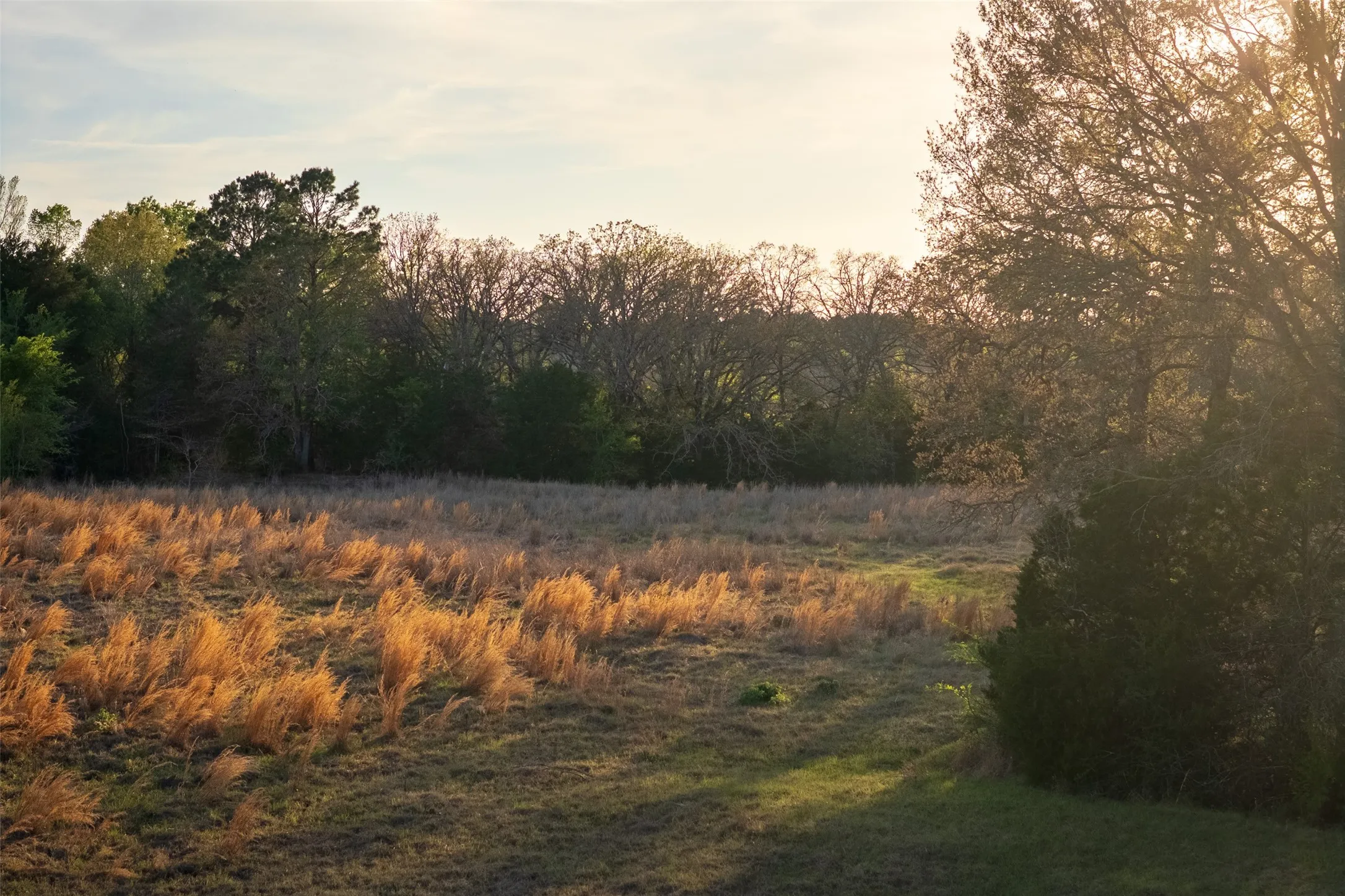 Unimproved Land For Sale in Anderson County , 00 County Road 117, Elkhart, Texas 75839, 0, 0, Garage spaces, 0 Sqft, built in 0, mls#21221785, Real Estate Agent in Elkhart, Homes For Sale in Anderson county, Homes For Sale in Elkhart, Realtor in Elkhart Texas, Real Estate Brokerage Independent Realty Texas, Luminita Cordes Realtor