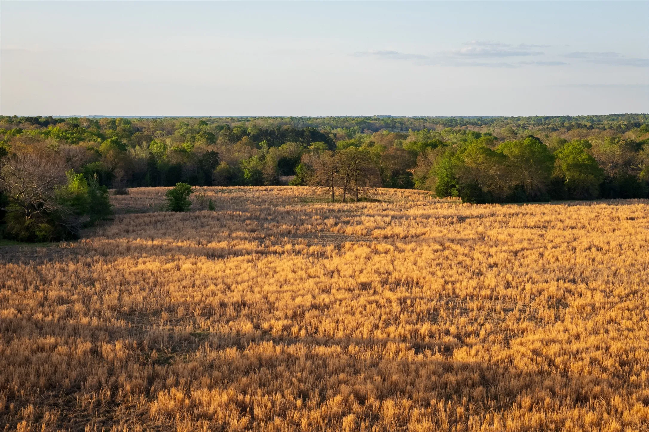 Unimproved Land For Sale in Anderson County , 00 County Road 117, Elkhart, Texas 75839, 0, 0, Garage spaces, 0 Sqft, built in 0, mls#21221785, Real Estate Agent in Elkhart, Homes For Sale in Anderson county, Homes For Sale in Elkhart, Realtor in Elkhart Texas, Real Estate Brokerage Independent Realty Texas, Luminita Cordes Realtor
