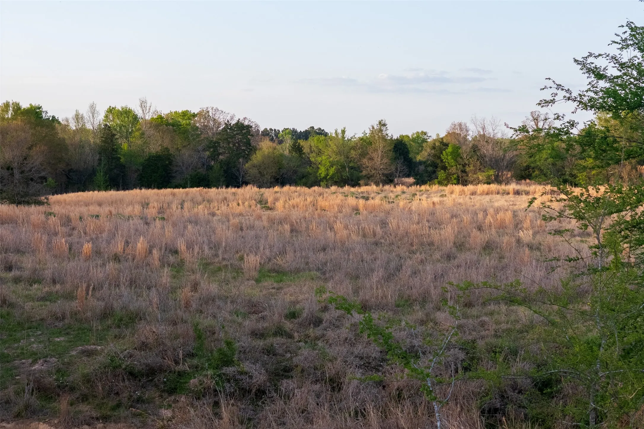 Unimproved Land For Sale in Anderson County , 00 County Road 117, Elkhart, Texas 75839, 0, 0, Garage spaces, 0 Sqft, built in 0, mls#21221785, Real Estate Agent in Elkhart, Homes For Sale in Anderson county, Homes For Sale in Elkhart, Realtor in Elkhart Texas, Real Estate Brokerage Independent Realty Texas, Luminita Cordes Realtor
