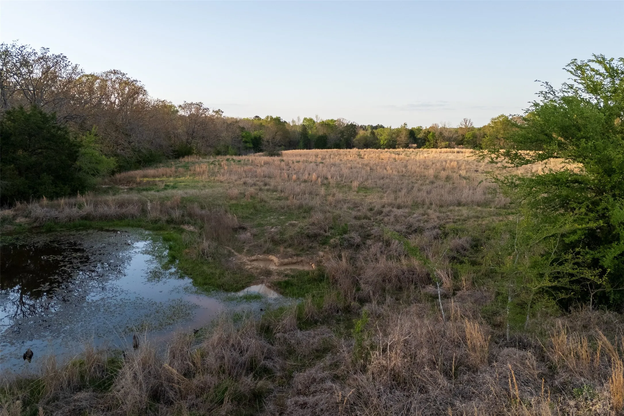 Unimproved Land For Sale in Anderson County , 00 County Road 117, Elkhart, Texas 75839, 0, 0, Garage spaces, 0 Sqft, built in 0, mls#21221785, Real Estate Agent in Elkhart, Homes For Sale in Anderson county, Homes For Sale in Elkhart, Realtor in Elkhart Texas, Real Estate Brokerage Independent Realty Texas, Luminita Cordes Realtor