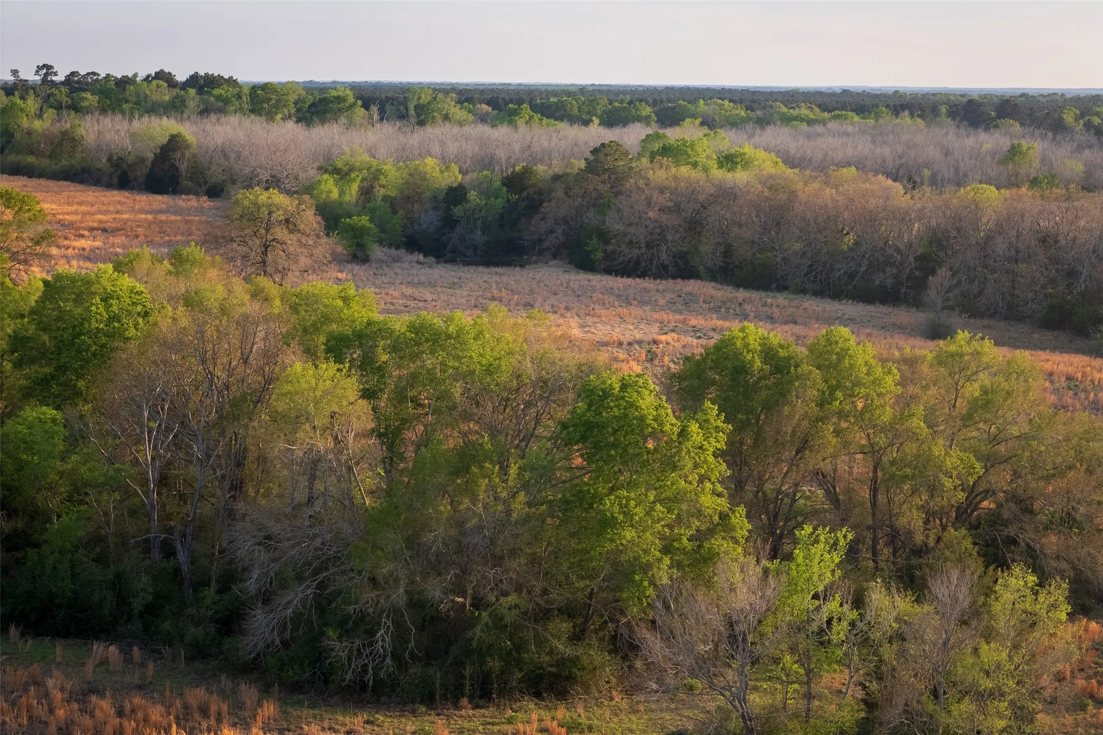 Unimproved Land For Sale in Anderson County , 00 County Road 117, Elkhart, Texas 75839, 0, 0, Garage spaces, 0 Sqft, built in 0, mls#21221785, Real Estate Agent in Elkhart, Homes For Sale in Anderson county, Homes For Sale in Elkhart, Realtor in Elkhart Texas, Real Estate Brokerage Independent Realty Texas, Luminita Cordes Realtor