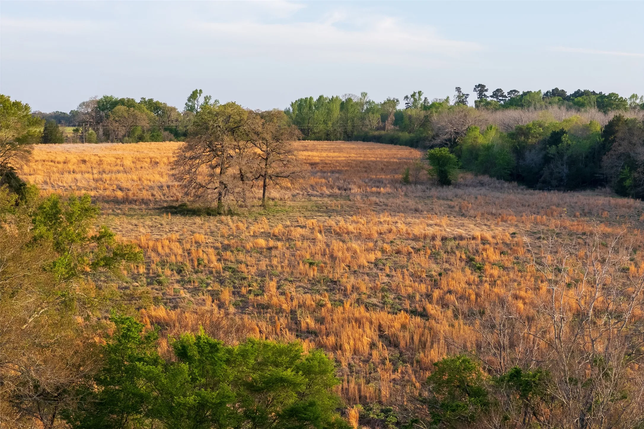 Unimproved Land For Sale in Anderson County , 00 County Road 117, Elkhart, Texas 75839, 0, 0, Garage spaces, 0 Sqft, built in 0, mls#21221785, Real Estate Agent in Elkhart, Homes For Sale in Anderson county, Homes For Sale in Elkhart, Realtor in Elkhart Texas, Real Estate Brokerage Independent Realty Texas, Luminita Cordes Realtor