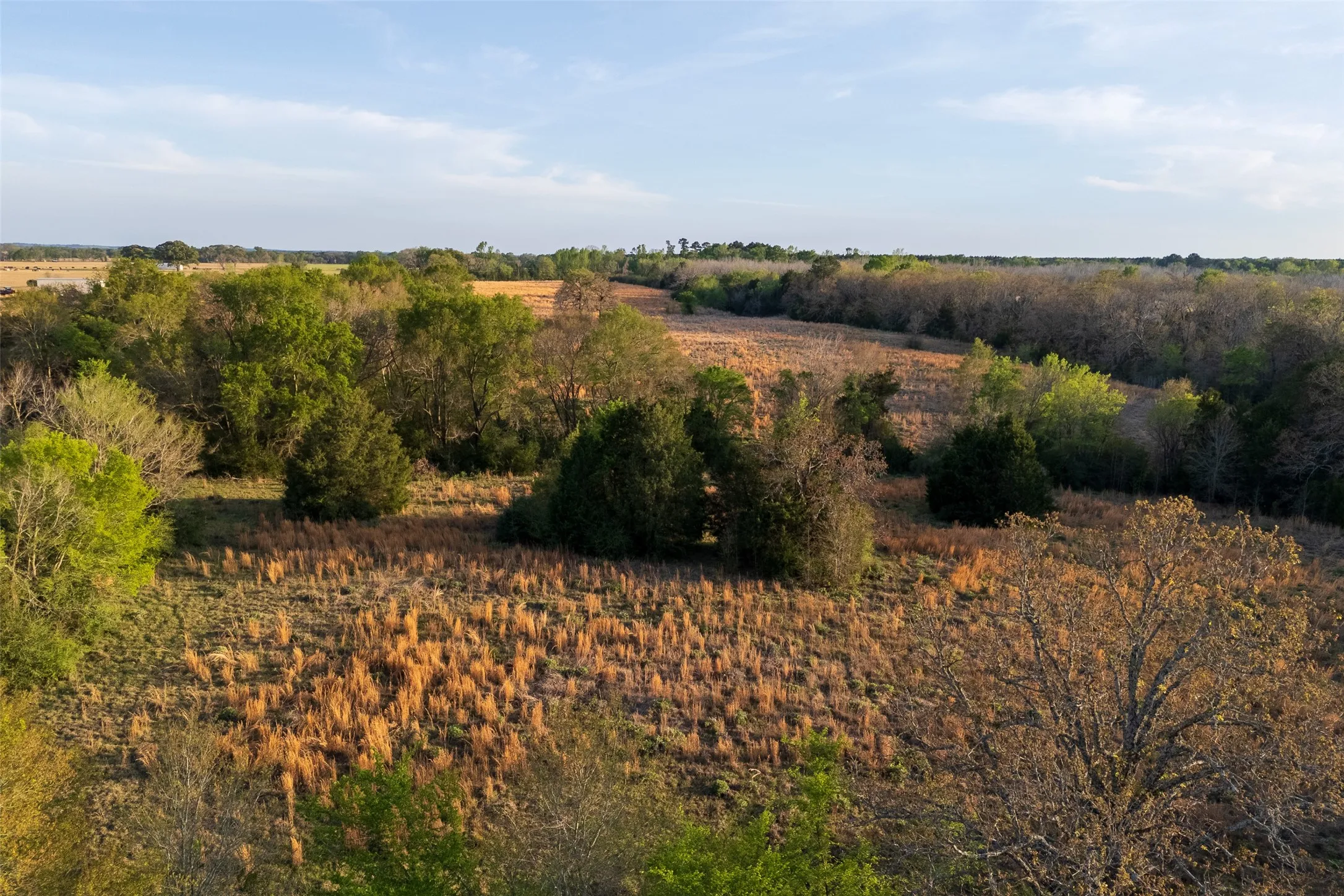 Unimproved Land For Sale in Anderson County , 00 County Road 117, Elkhart, Texas 75839, 0, 0, Garage spaces, 0 Sqft, built in 0, mls#21221785, Real Estate Agent in Elkhart, Homes For Sale in Anderson county, Homes For Sale in Elkhart, Realtor in Elkhart Texas, Real Estate Brokerage Independent Realty Texas, Luminita Cordes Realtor