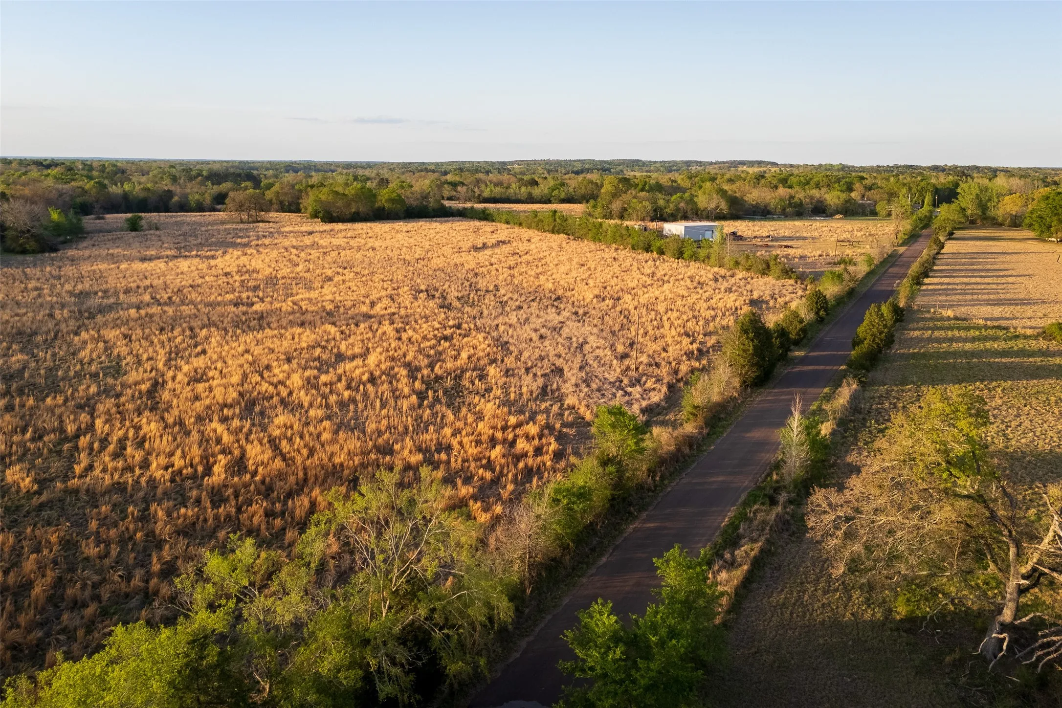 Unimproved Land For Sale in Anderson County , 00 County Road 117, Elkhart, Texas 75839, 0, 0, Garage spaces, 0 Sqft, built in 0, mls#21221785, Real Estate Agent in Elkhart, Homes For Sale in Anderson county, Homes For Sale in Elkhart, Realtor in Elkhart Texas, Real Estate Brokerage Independent Realty Texas, Luminita Cordes Realtor