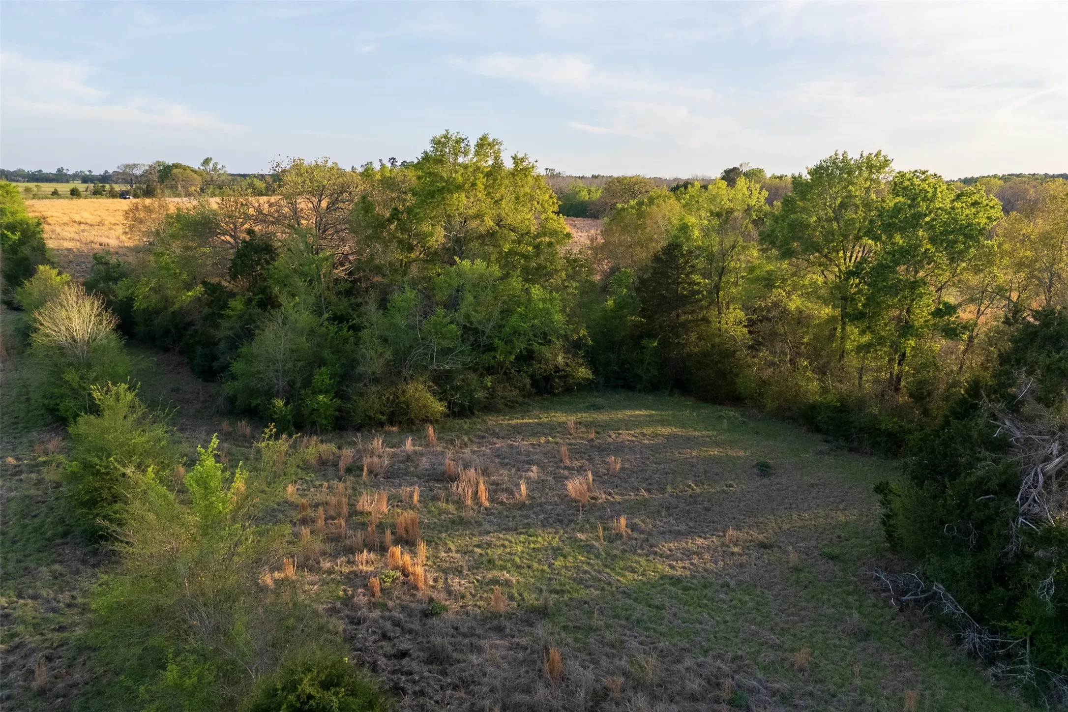Unimproved Land For Sale in Anderson County , 00 County Road 117, Elkhart, Texas 75839, 0, 0, Garage spaces, 0 Sqft, built in 0, mls#21221785, Real Estate Agent in Elkhart, Homes For Sale in Anderson county, Homes For Sale in Elkhart, Realtor in Elkhart Texas, Real Estate Brokerage Independent Realty Texas, Luminita Cordes Realtor