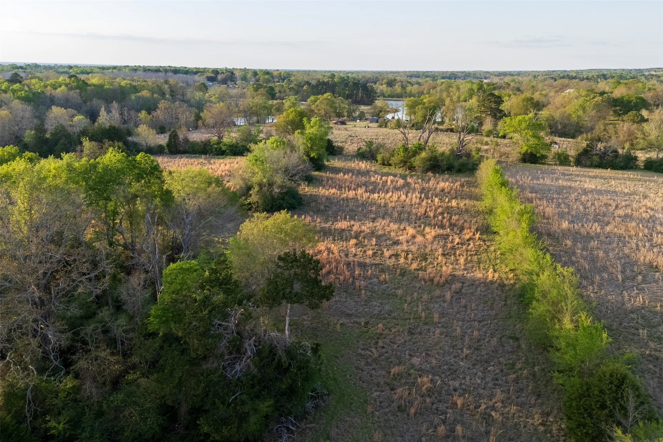 Unimproved Land For Sale in Anderson County , 00 County Road 117, Elkhart, Texas 75839, 0, 0, Garage spaces, 0 Sqft, built in 0, mls#21221785, Real Estate Agent in Elkhart, Homes For Sale in Anderson county, Homes For Sale in Elkhart, Realtor in Elkhart Texas, Real Estate Brokerage Independent Realty Texas, Luminita Cordes Realtor