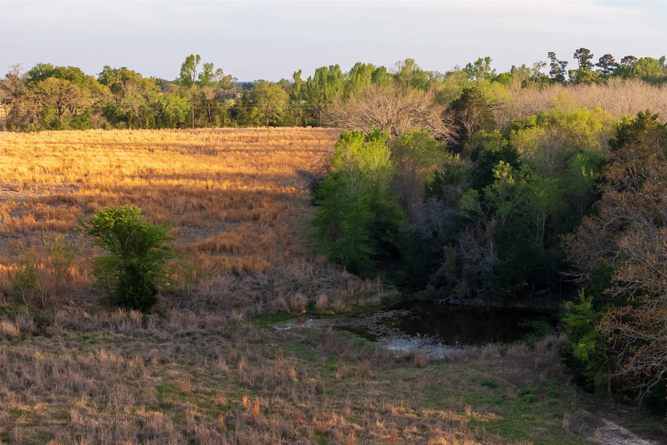 Unimproved Land For Sale in Anderson County , 00 County Road 117, Elkhart, Texas 75839, 0, 0, Garage spaces, 0 Sqft, built in 0, mls#21221785, Real Estate Agent in Elkhart, Homes For Sale in Anderson county, Homes For Sale in Elkhart, Realtor in Elkhart Texas, Real Estate Brokerage Independent Realty Texas, Luminita Cordes Realtor
