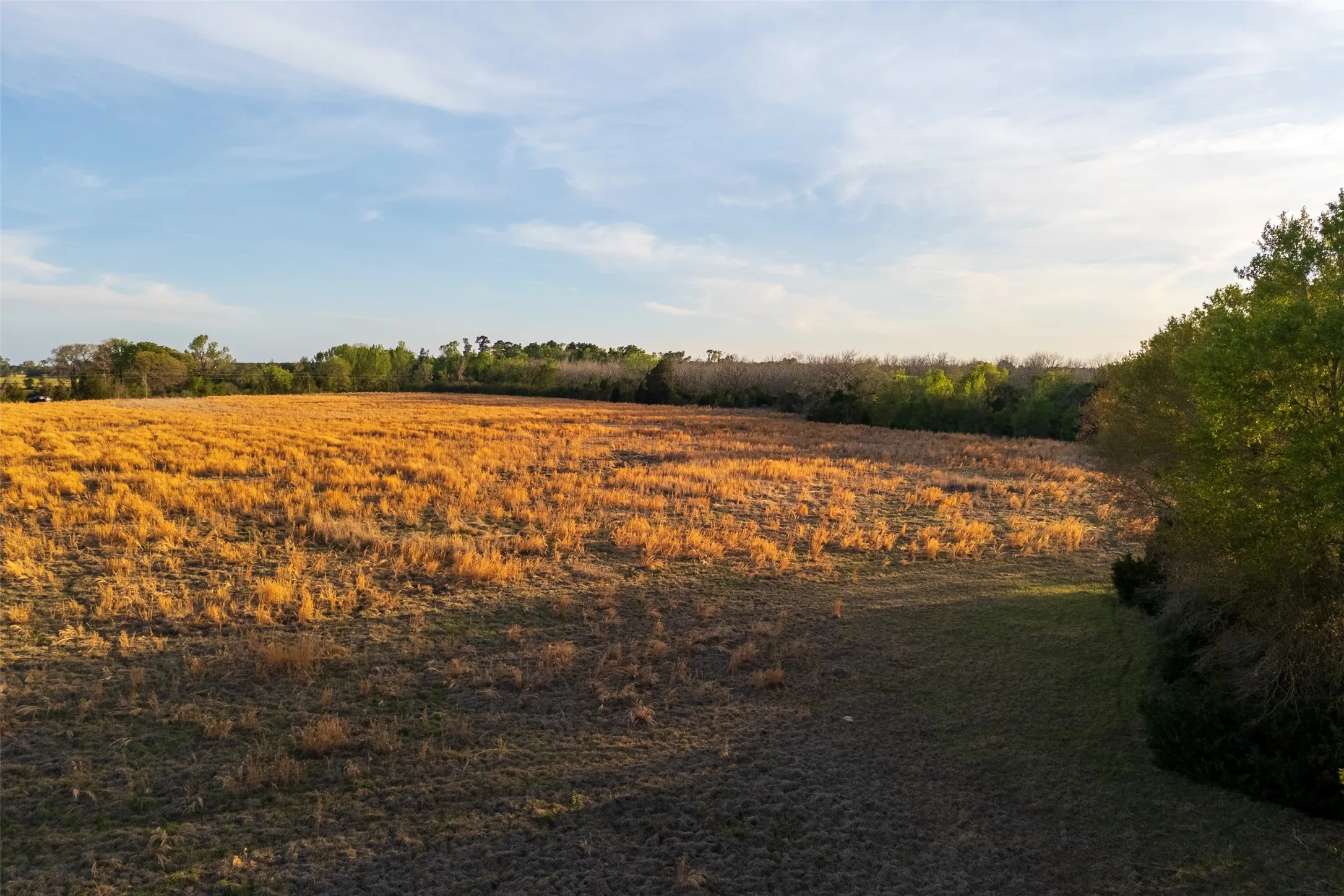 Unimproved Land For Sale in Anderson County , 00 County Road 117, Elkhart, Texas 75839, 0, 0, Garage spaces, 0 Sqft, built in 0, mls#21221785, Real Estate Agent in Elkhart, Homes For Sale in Anderson county, Homes For Sale in Elkhart, Realtor in Elkhart Texas, Real Estate Brokerage Independent Realty Texas, Luminita Cordes Realtor