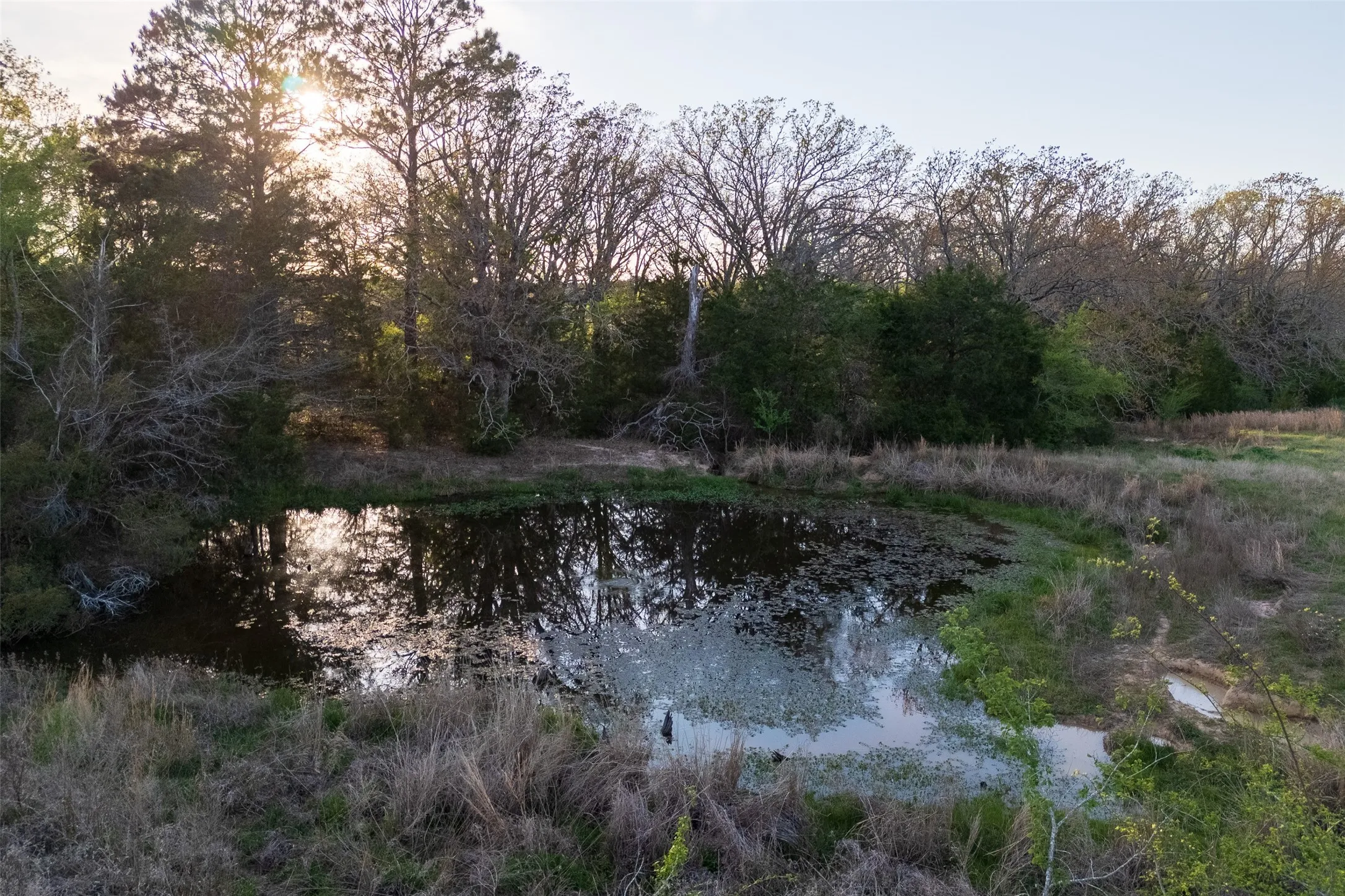 Unimproved Land For Sale in Anderson County , 00 County Road 117, Elkhart, Texas 75839, 0, 0, Garage spaces, 0 Sqft, built in 0, mls#21221785, Real Estate Agent in Elkhart, Homes For Sale in Anderson county, Homes For Sale in Elkhart, Realtor in Elkhart Texas, Real Estate Brokerage Independent Realty Texas, Luminita Cordes Realtor