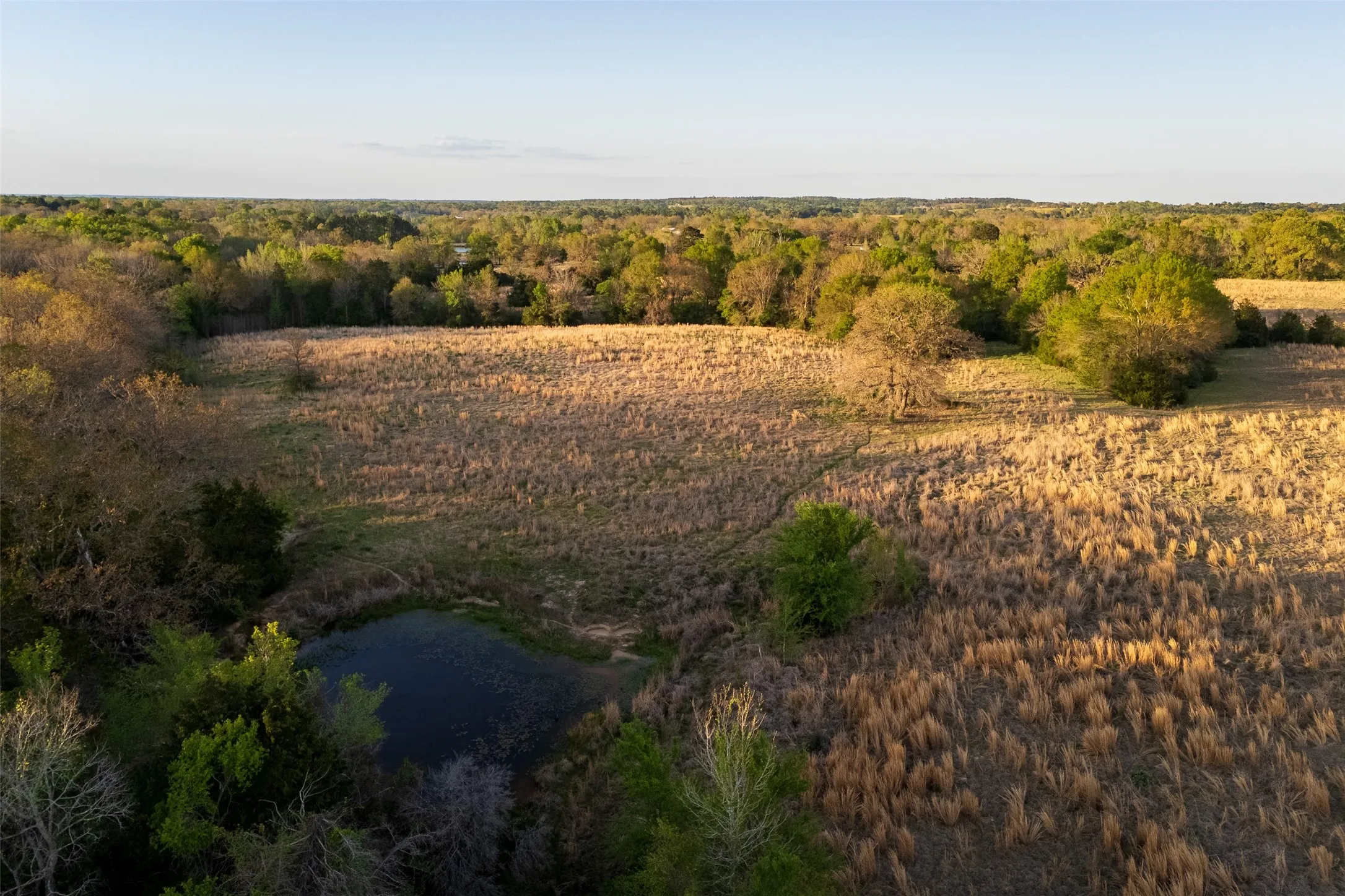 Unimproved Land For Sale in Anderson County , 00 County Road 117, Elkhart, Texas 75839, 0, 0, Garage spaces, 0 Sqft, built in 0, mls#21221785, Real Estate Agent in Elkhart, Homes For Sale in Anderson county, Homes For Sale in Elkhart, Realtor in Elkhart Texas, Real Estate Brokerage Independent Realty Texas, Luminita Cordes Realtor