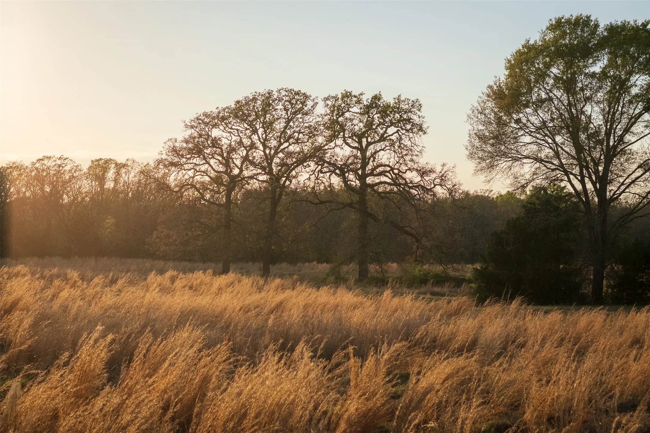 Unimproved Land For Sale in Anderson County , 00 County Road 117, Elkhart, Texas 75839, 0, 0, Garage spaces, 0 Sqft, built in 0, mls#21221785, Real Estate Agent in Elkhart, Homes For Sale in Anderson county, Homes For Sale in Elkhart, Realtor in Elkhart Texas, Real Estate Brokerage Independent Realty Texas, Luminita Cordes Realtor