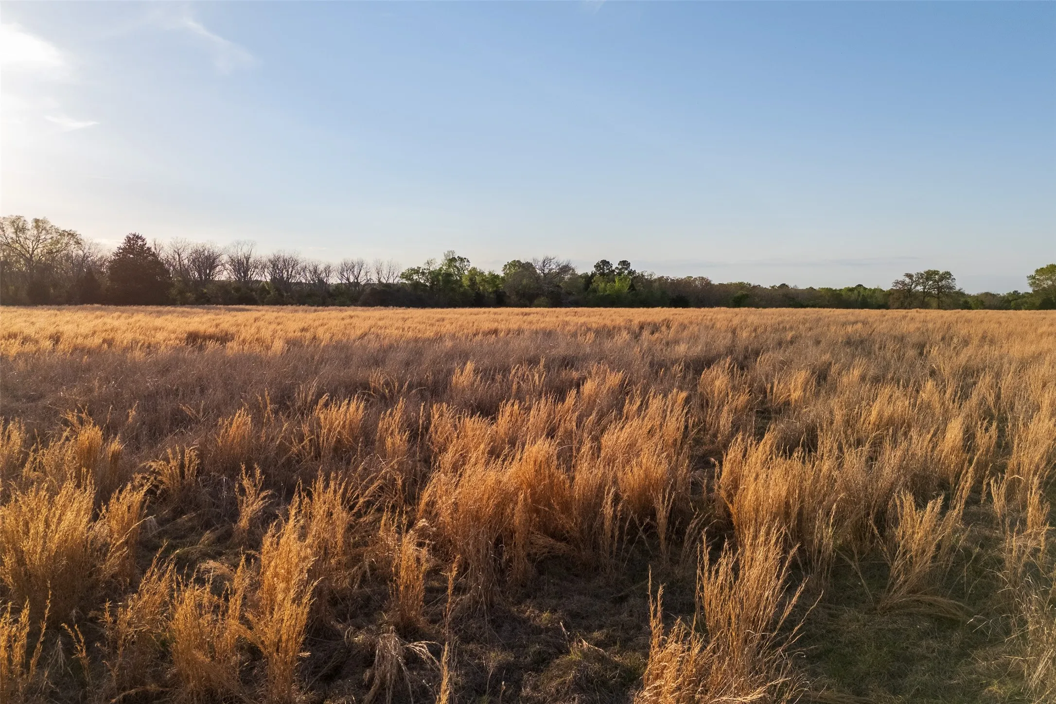 Unimproved Land For Sale in Anderson County , 00 County Road 117, Elkhart, Texas 75839, 0, 0, Garage spaces, 0 Sqft, built in 0, mls#21221785, Real Estate Agent in Elkhart, Homes For Sale in Anderson county, Homes For Sale in Elkhart, Realtor in Elkhart Texas, Real Estate Brokerage Independent Realty Texas, Luminita Cordes Realtor