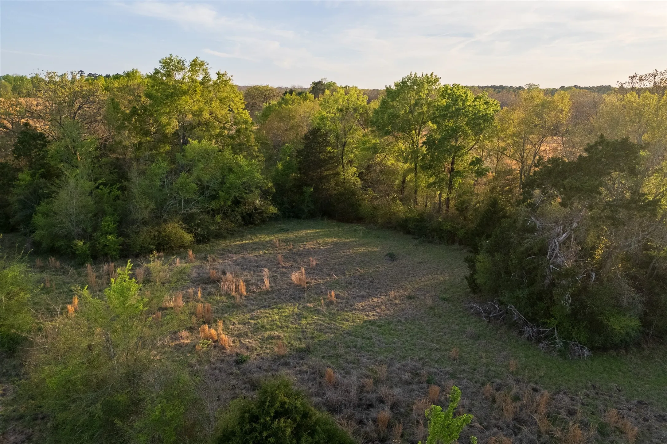 Unimproved Land For Sale in Anderson County , 00 County Road 117, Elkhart, Texas 75839, 0, 0, Garage spaces, 0 Sqft, built in 0, mls#21221785, Real Estate Agent in Elkhart, Homes For Sale in Anderson county, Homes For Sale in Elkhart, Realtor in Elkhart Texas, Real Estate Brokerage Independent Realty Texas, Luminita Cordes Realtor