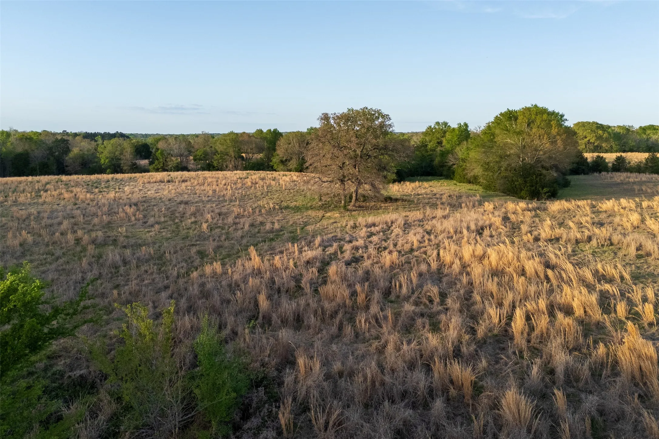 Unimproved Land For Sale in Anderson County , 00 County Road 117, Elkhart, Texas 75839, 0, 0, Garage spaces, 0 Sqft, built in 0, mls#21221785, Real Estate Agent in Elkhart, Homes For Sale in Anderson county, Homes For Sale in Elkhart, Realtor in Elkhart Texas, Real Estate Brokerage Independent Realty Texas, Luminita Cordes Realtor