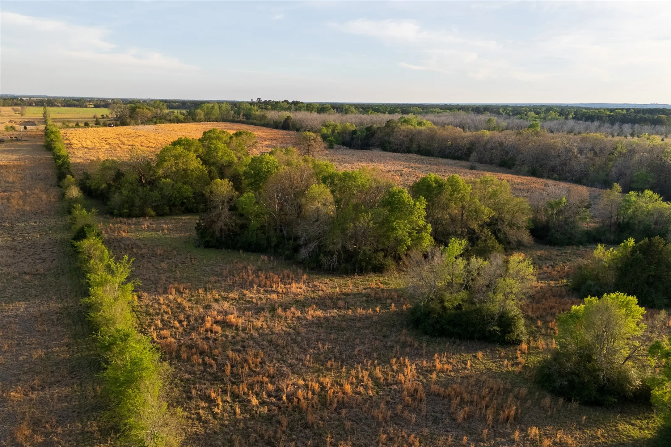 Unimproved Land For Sale in Anderson County , 00 County Road 117, Elkhart, Texas 75839, 0, 0, Garage spaces, 0 Sqft, built in 0, mls#21221785, Real Estate Agent in Elkhart, Homes For Sale in Anderson county, Homes For Sale in Elkhart, Realtor in Elkhart Texas, Real Estate Brokerage Independent Realty Texas, Luminita Cordes Realtor