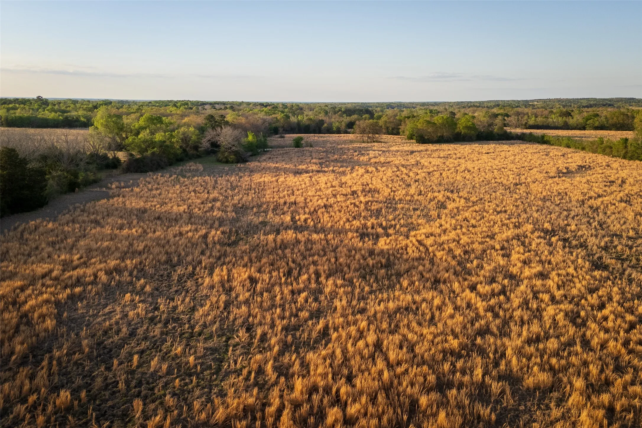 Unimproved Land For Sale in Anderson County , 00 County Road 117, Elkhart, Texas 75839, 0, 0, Garage spaces, 0 Sqft, built in 0, mls#21221785, Real Estate Agent in Elkhart, Homes For Sale in Anderson county, Homes For Sale in Elkhart, Realtor in Elkhart Texas, Real Estate Brokerage Independent Realty Texas, Luminita Cordes Realtor
