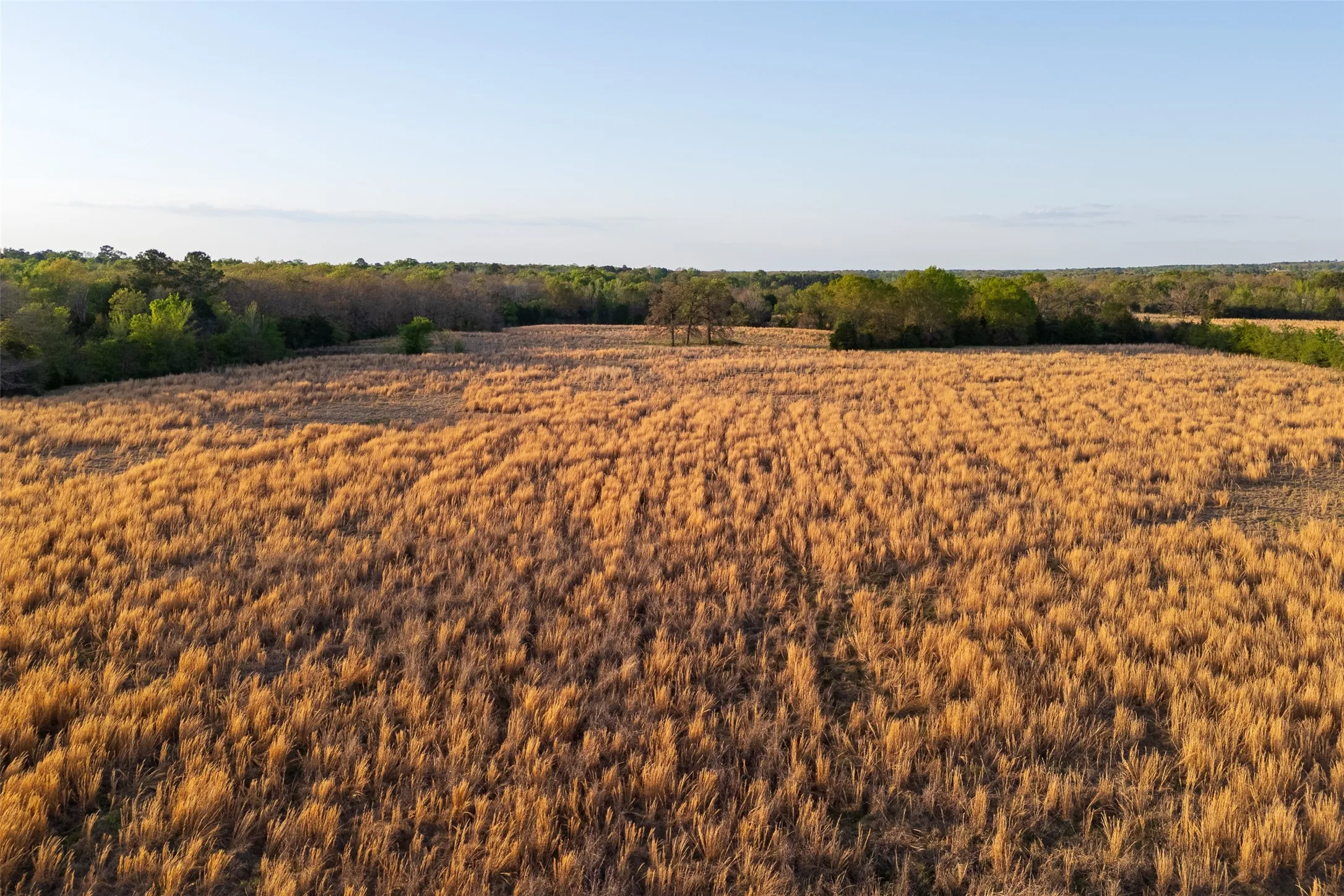 Unimproved Land For Sale in Anderson County , 00 County Road 117, Elkhart, Texas 75839, 0, 0, Garage spaces, 0 Sqft, built in 0, mls#21221785, Real Estate Agent in Elkhart, Homes For Sale in Anderson county, Homes For Sale in Elkhart, Realtor in Elkhart Texas, Real Estate Brokerage Independent Realty Texas, Luminita Cordes Realtor