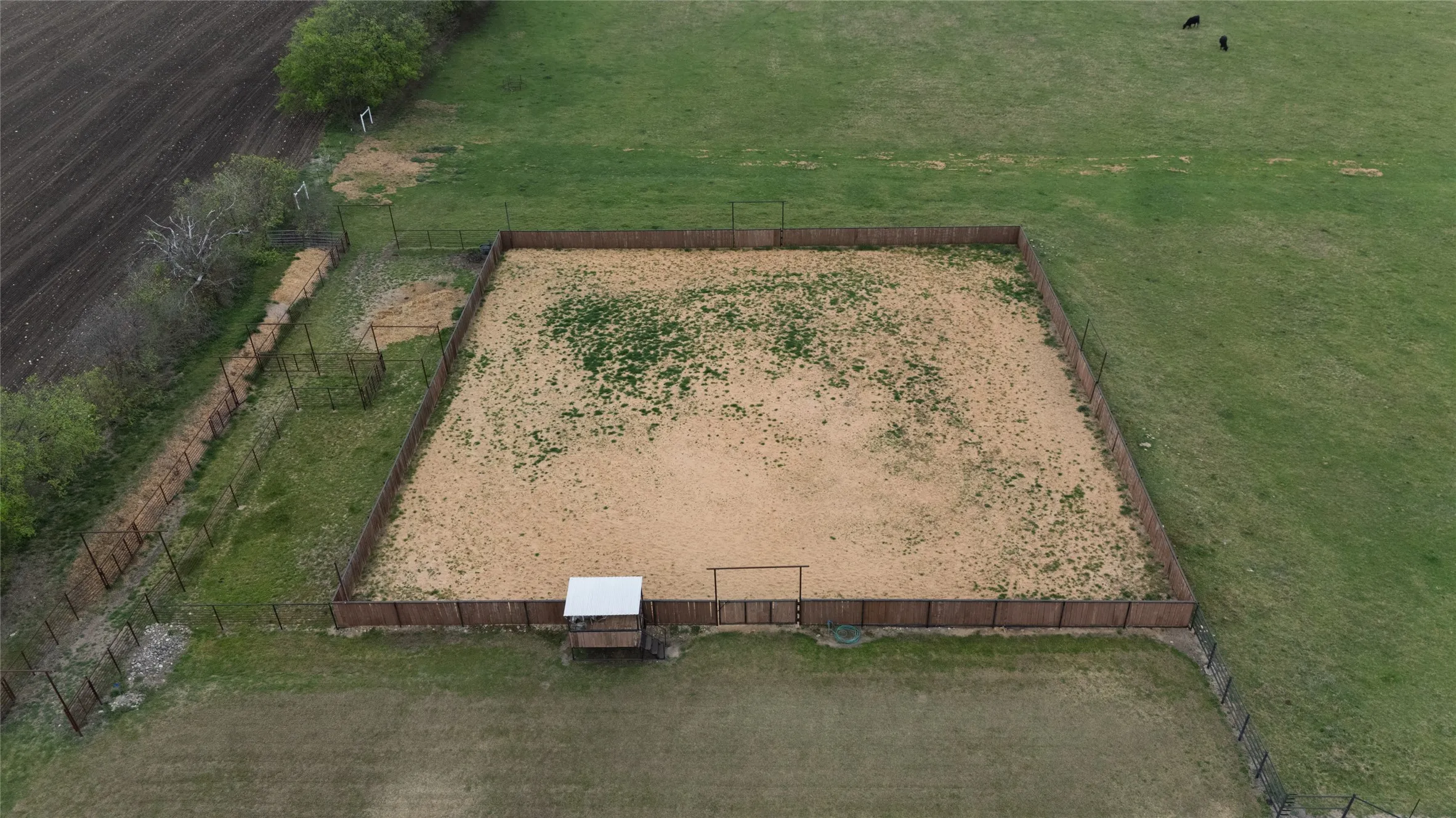 Farm For Sale in Denton County , 13435 Jackson Road, Krum, Texas 76249, 4 Bedroom, 4 Bathroom, 2 Garage spaces, 2,400 Sqft, built in 2000, mls#21221869, Real Estate Agent in Krum, Homes For Sale in Denton county, Homes For Sale in Krum, Realtor in Krum Texas, Real Estate Brokerage Independent Realty Texas, Luminita Cordes Realtor