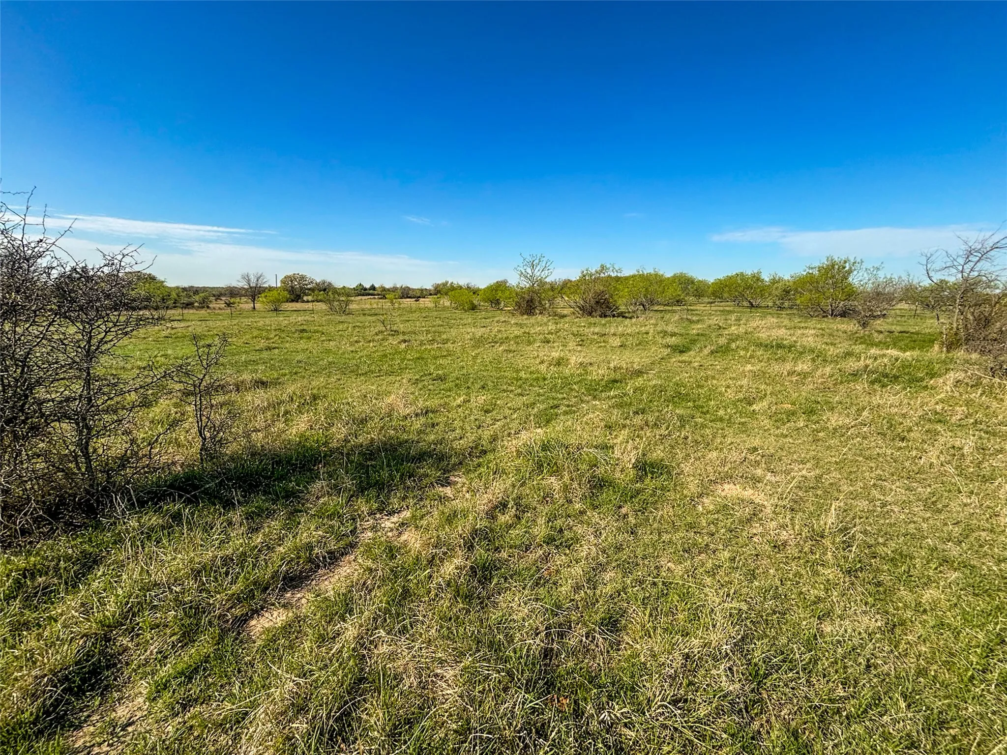 Unimproved Land For Sale in Wise County , 384 Cr-1475, Alvord, Texas 76225, 0, 0, Garage spaces, 0 Sqft, built in 0, mls#21221628, Real Estate Agent in Alvord, Homes For Sale in Wise county, Homes For Sale in Alvord, Realtor in Alvord Texas, Real Estate Brokerage Independent Realty Texas, Luminita Cordes Realtor