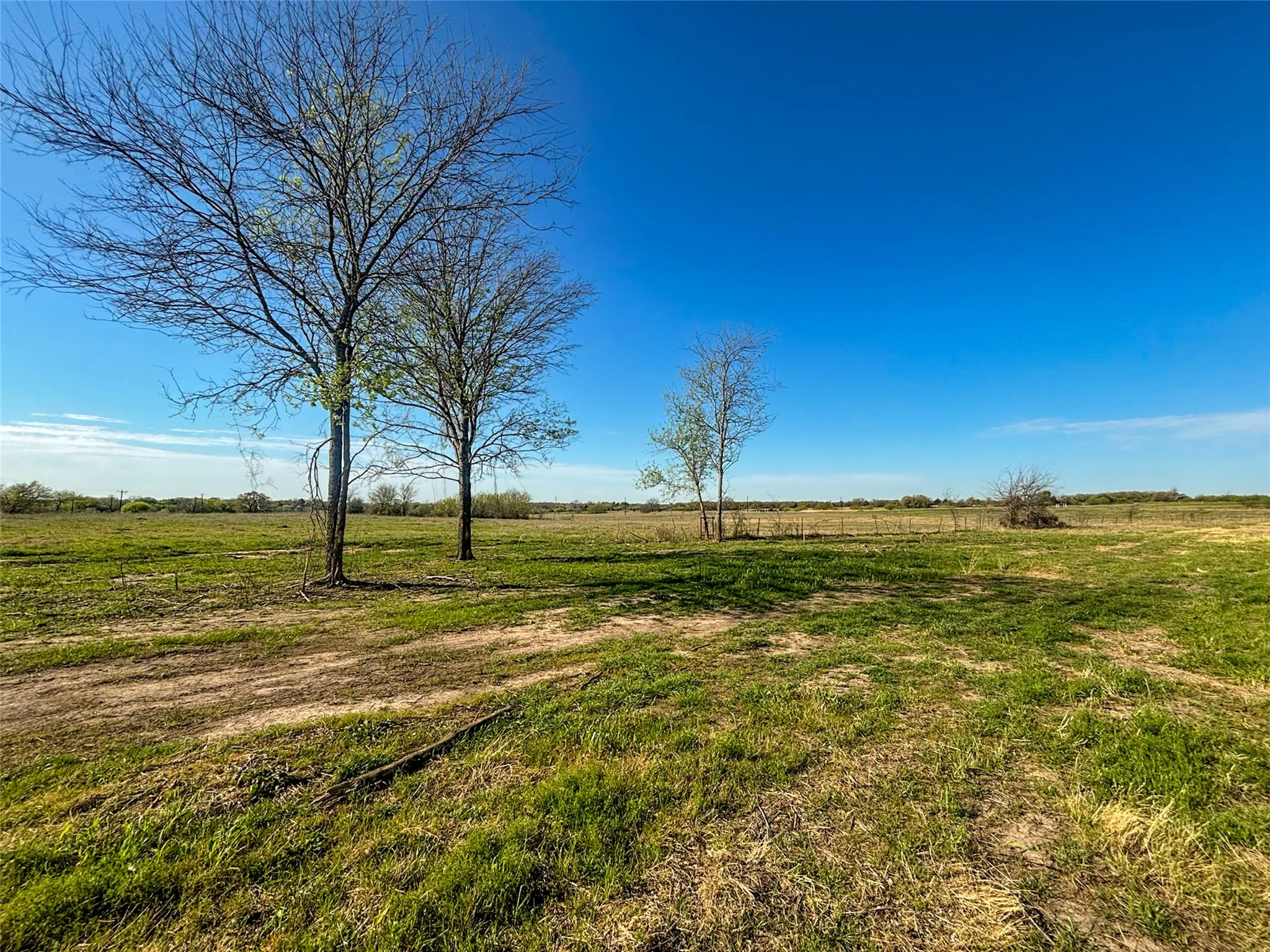 Unimproved Land For Sale in Wise County , 384 Cr-1475, Alvord, Texas 76225, 0, 0, Garage spaces, 0 Sqft, built in 0, mls#21221628, Real Estate Agent in Alvord, Homes For Sale in Wise county, Homes For Sale in Alvord, Realtor in Alvord Texas, Real Estate Brokerage Independent Realty Texas, Luminita Cordes Realtor